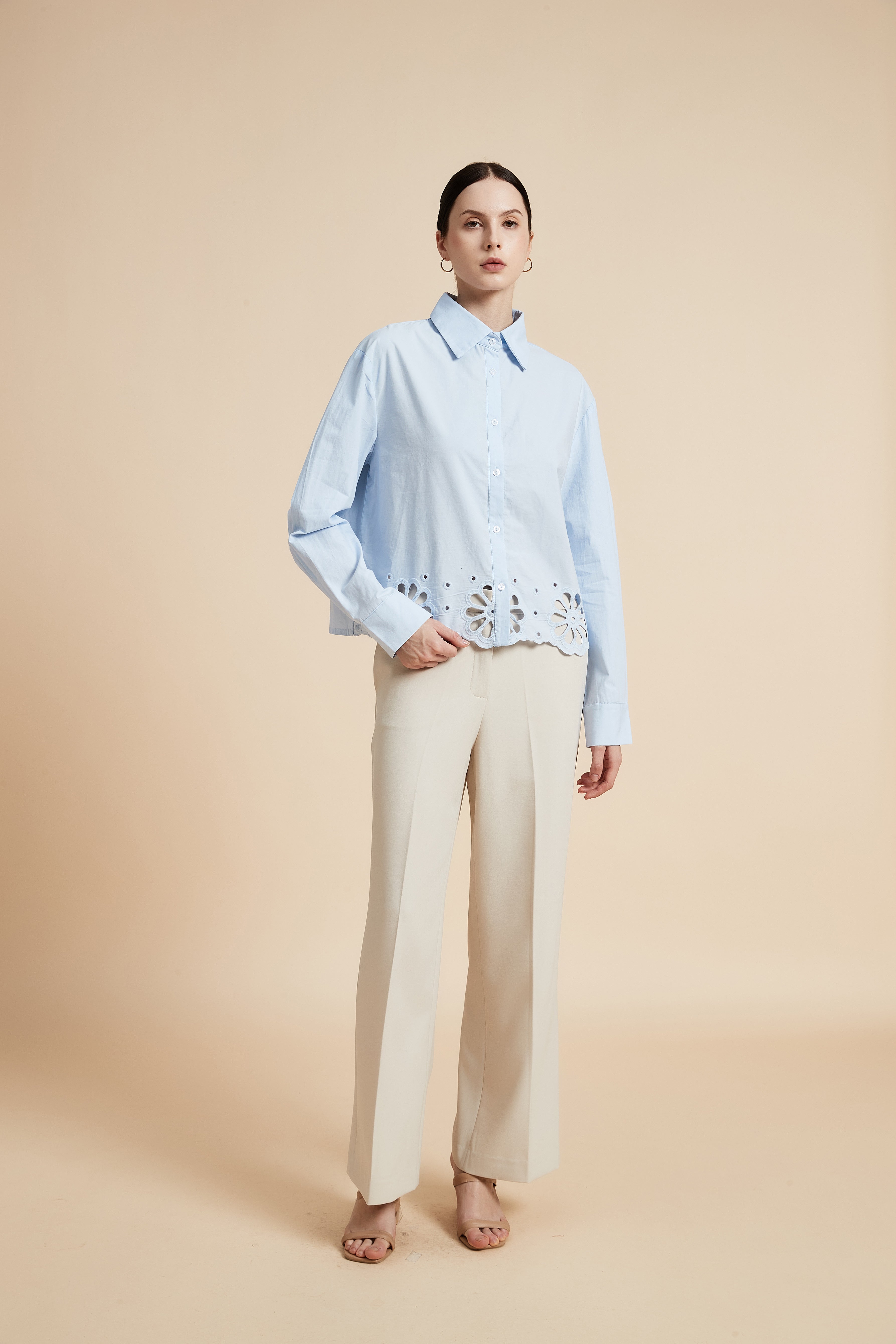 Solid Long Sleeve Blouse with Shirt Collar