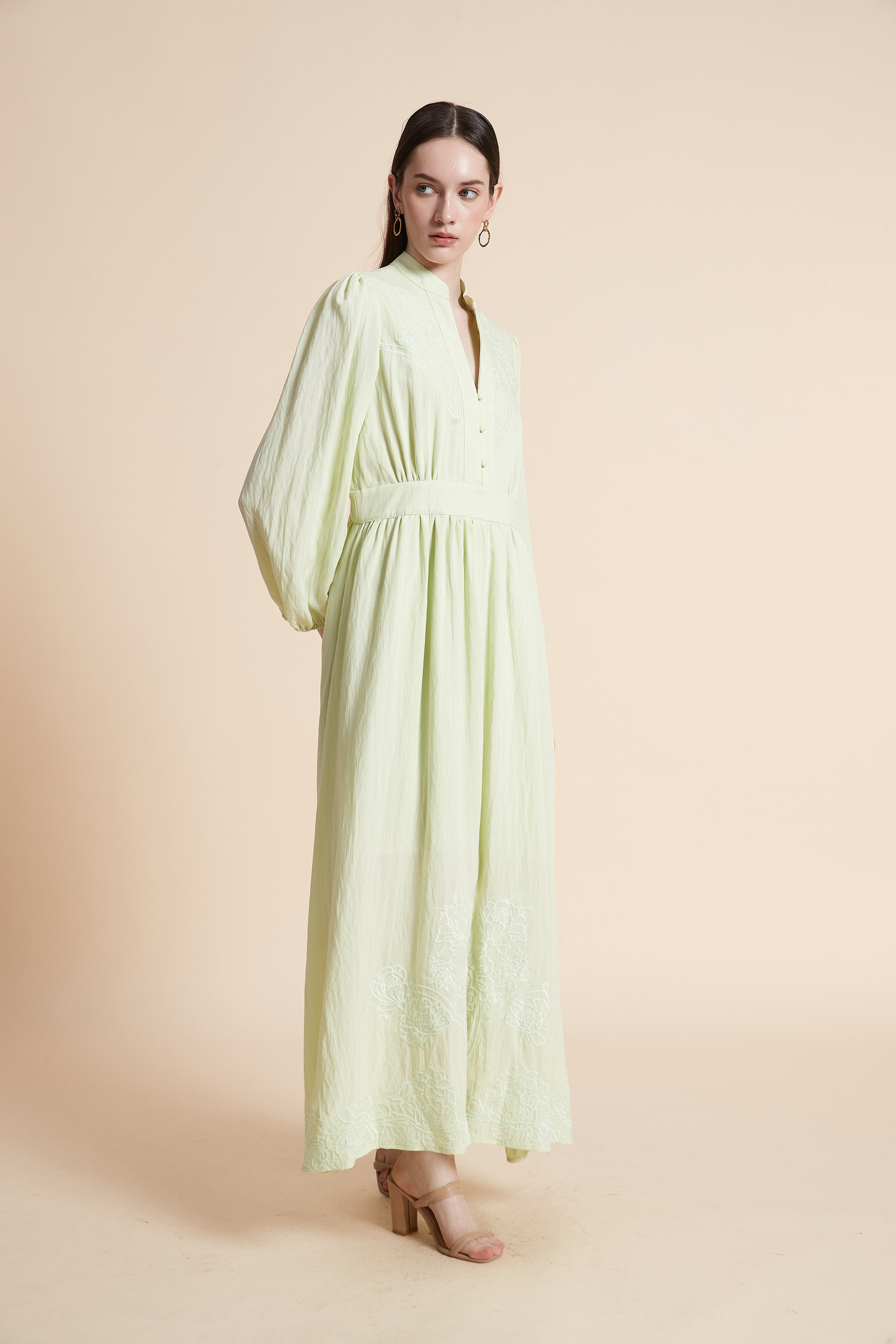 Embroidered Long Sleeve Maxi Dress