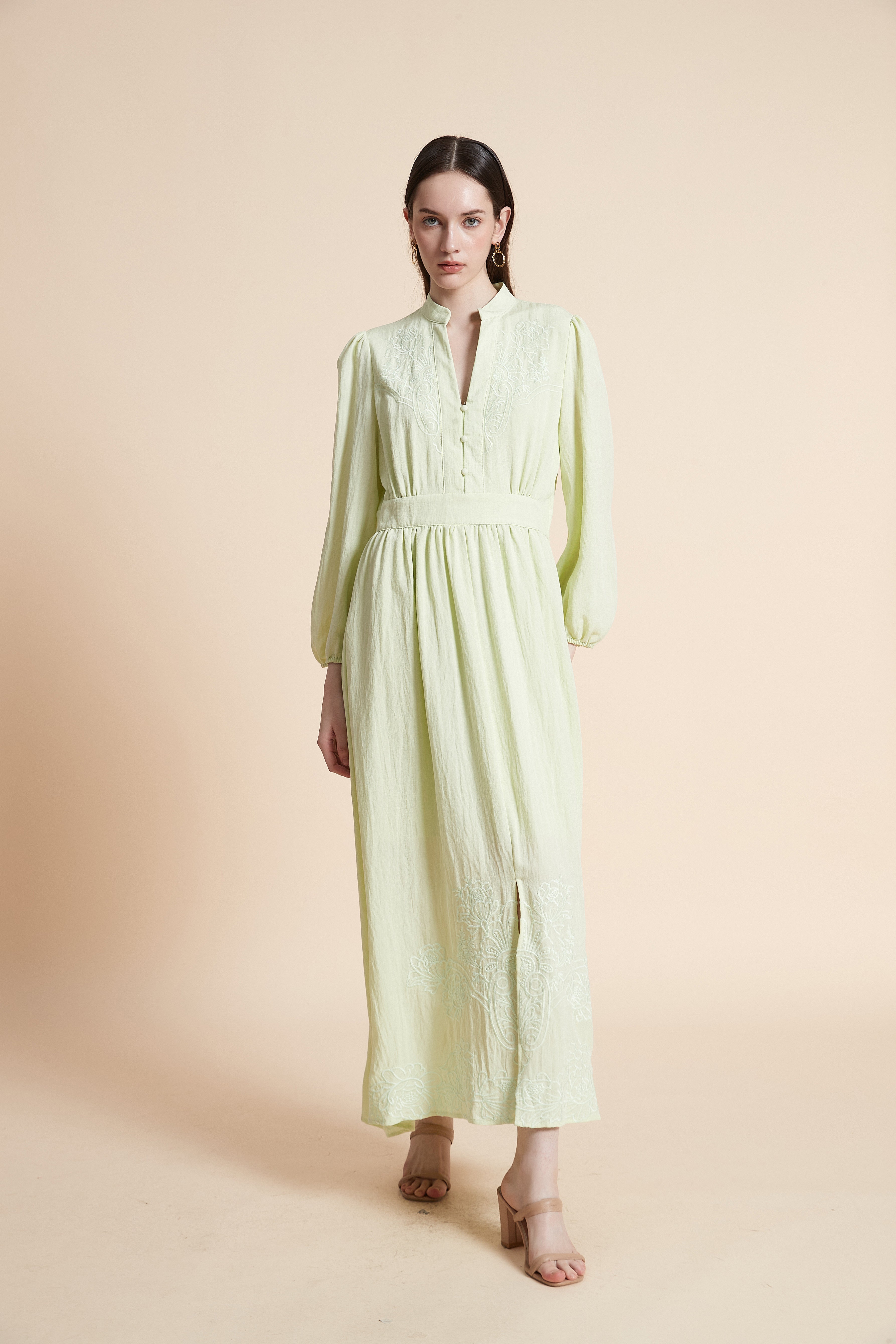 Embroidered Long Sleeve Maxi Dress