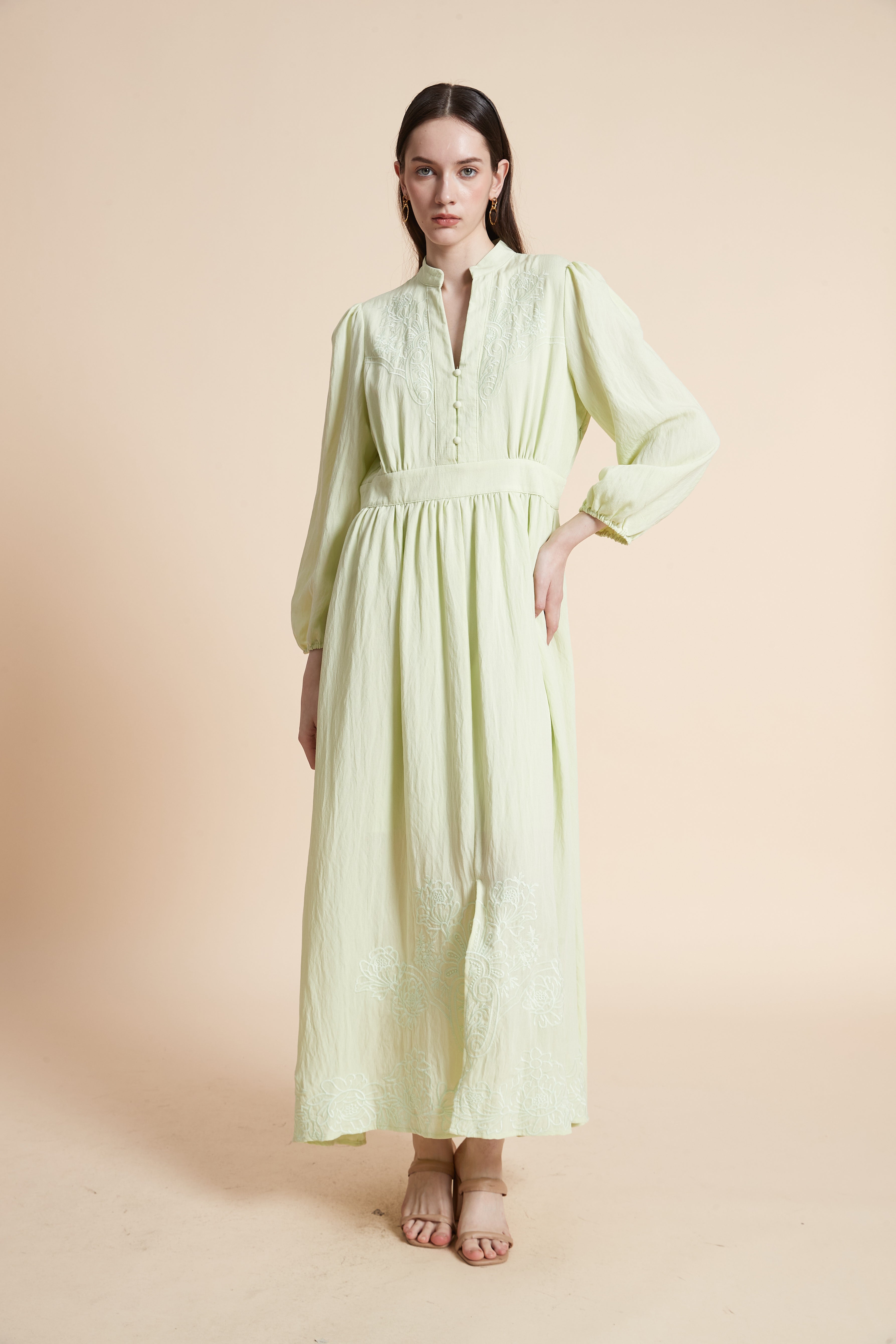 Embroidered Long Sleeve Maxi Dress