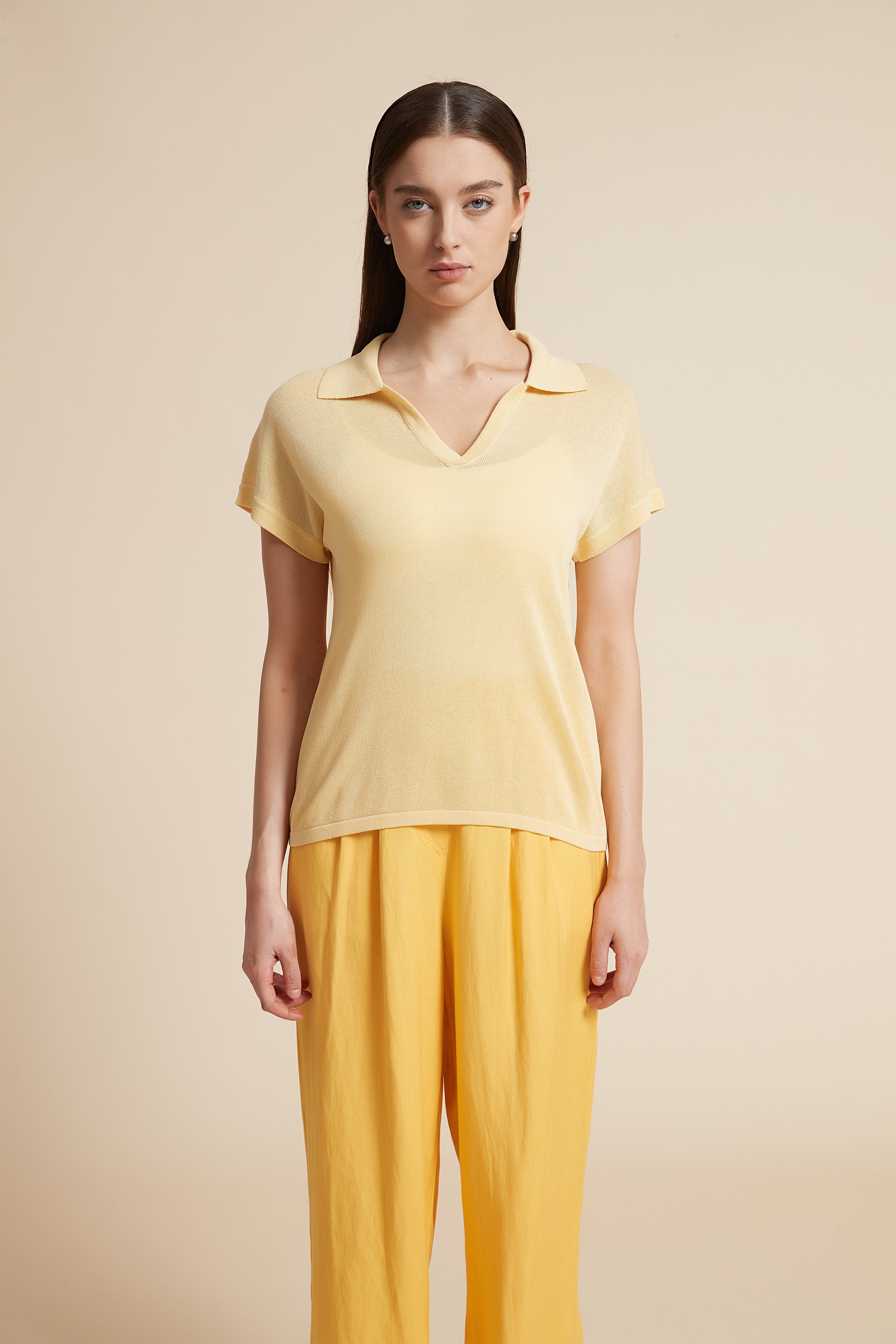 Solid V-Neck Blouse