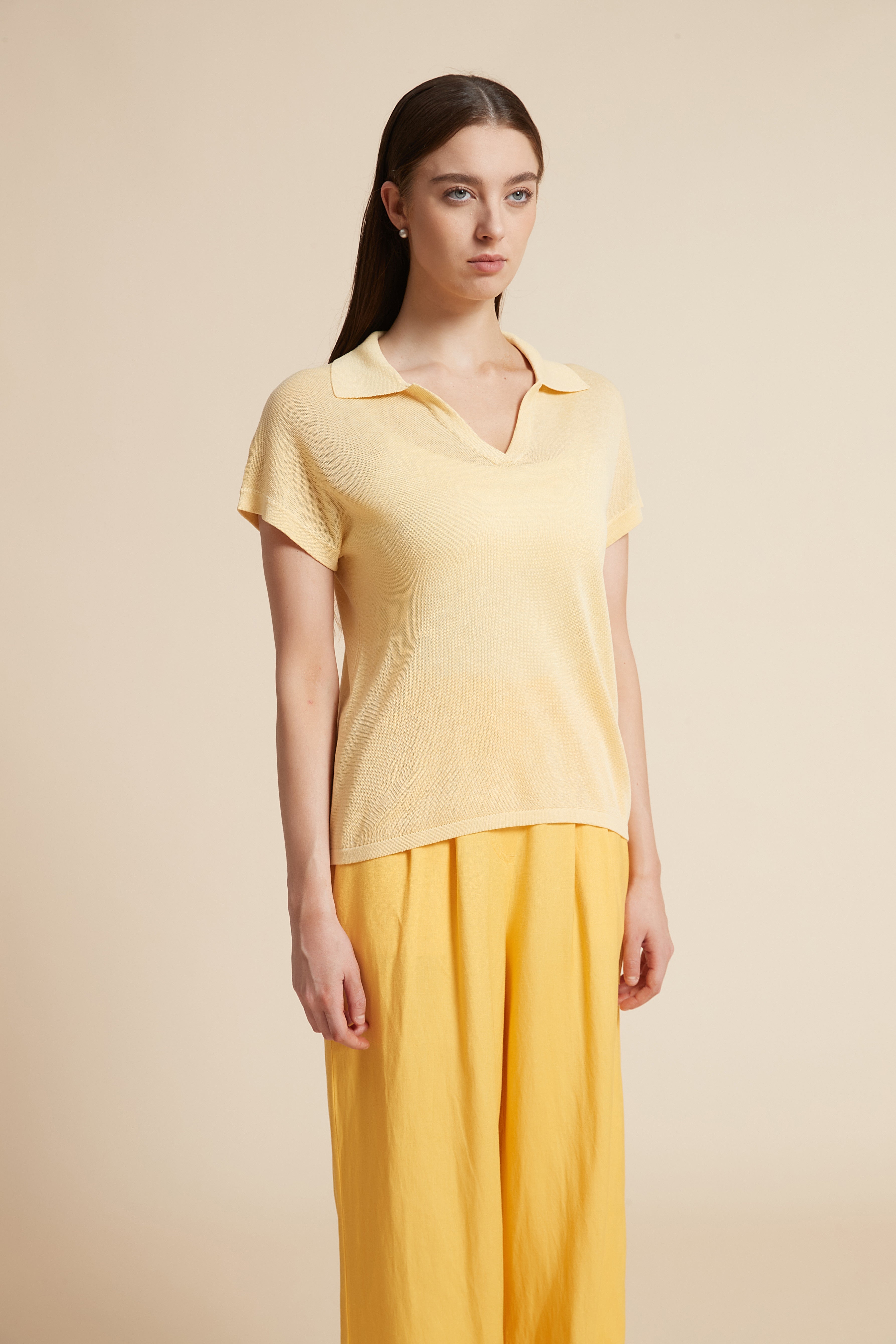 Solid V-Neck Blouse