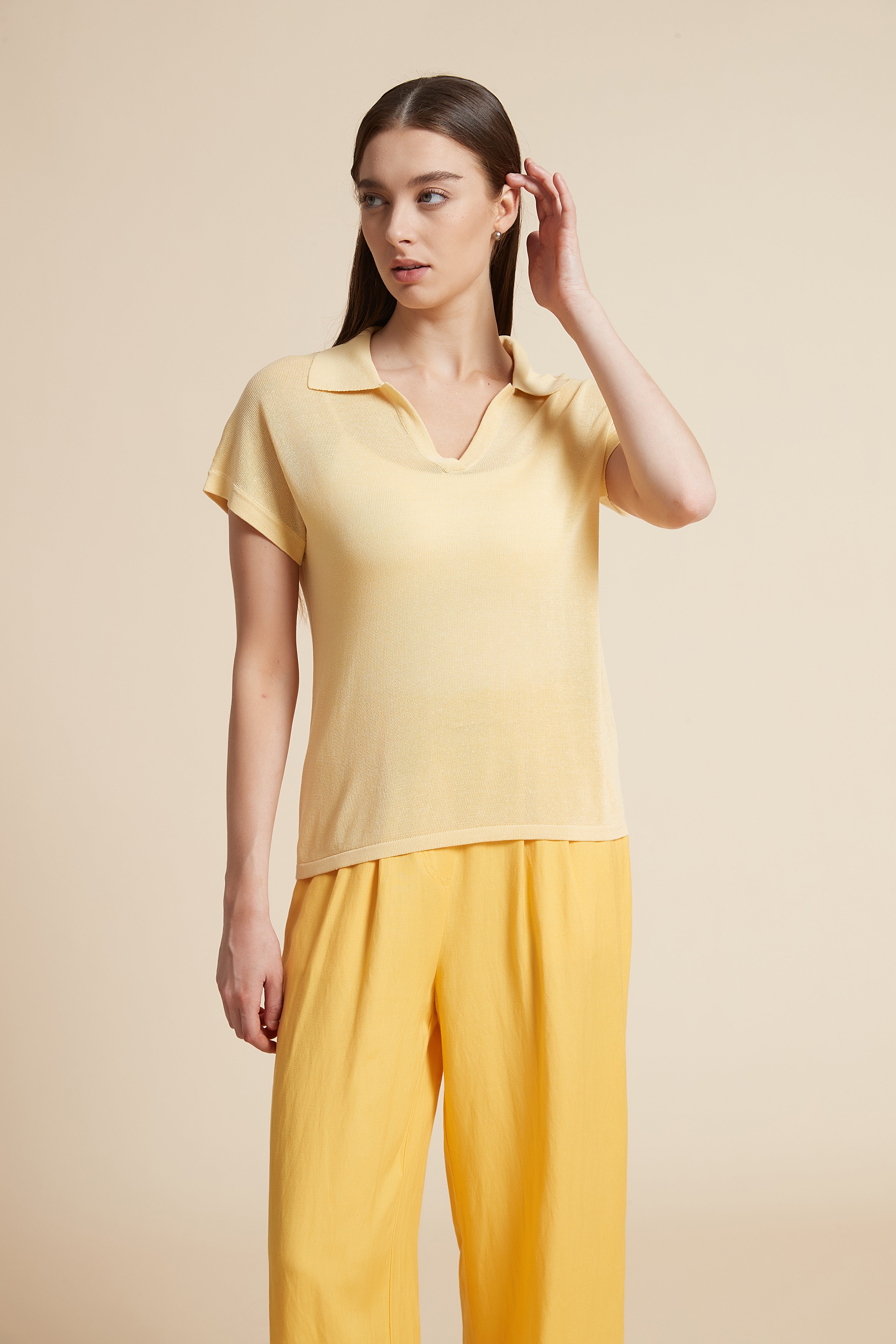 Solid V-Neck Blouse