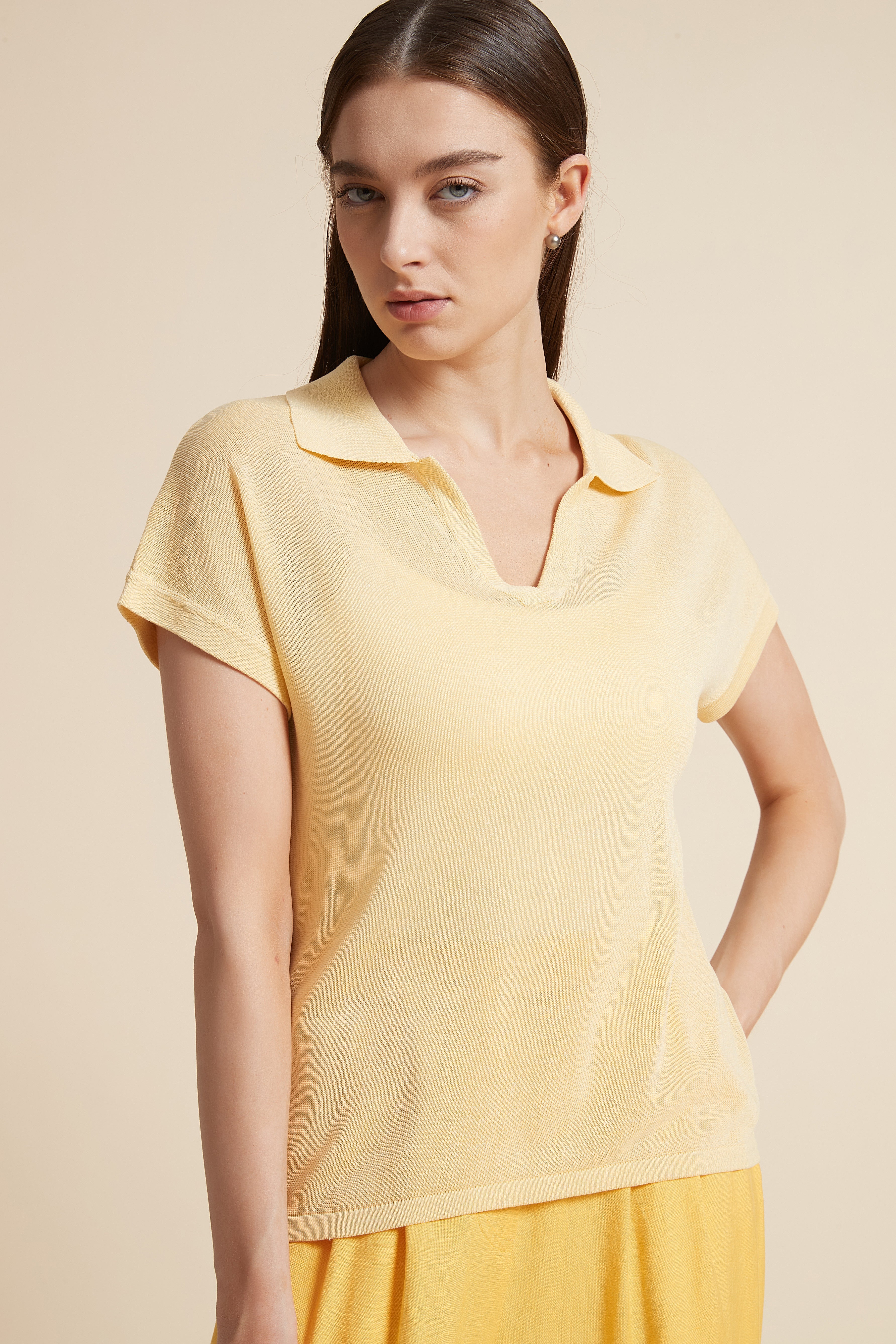Solid V-Neck Blouse