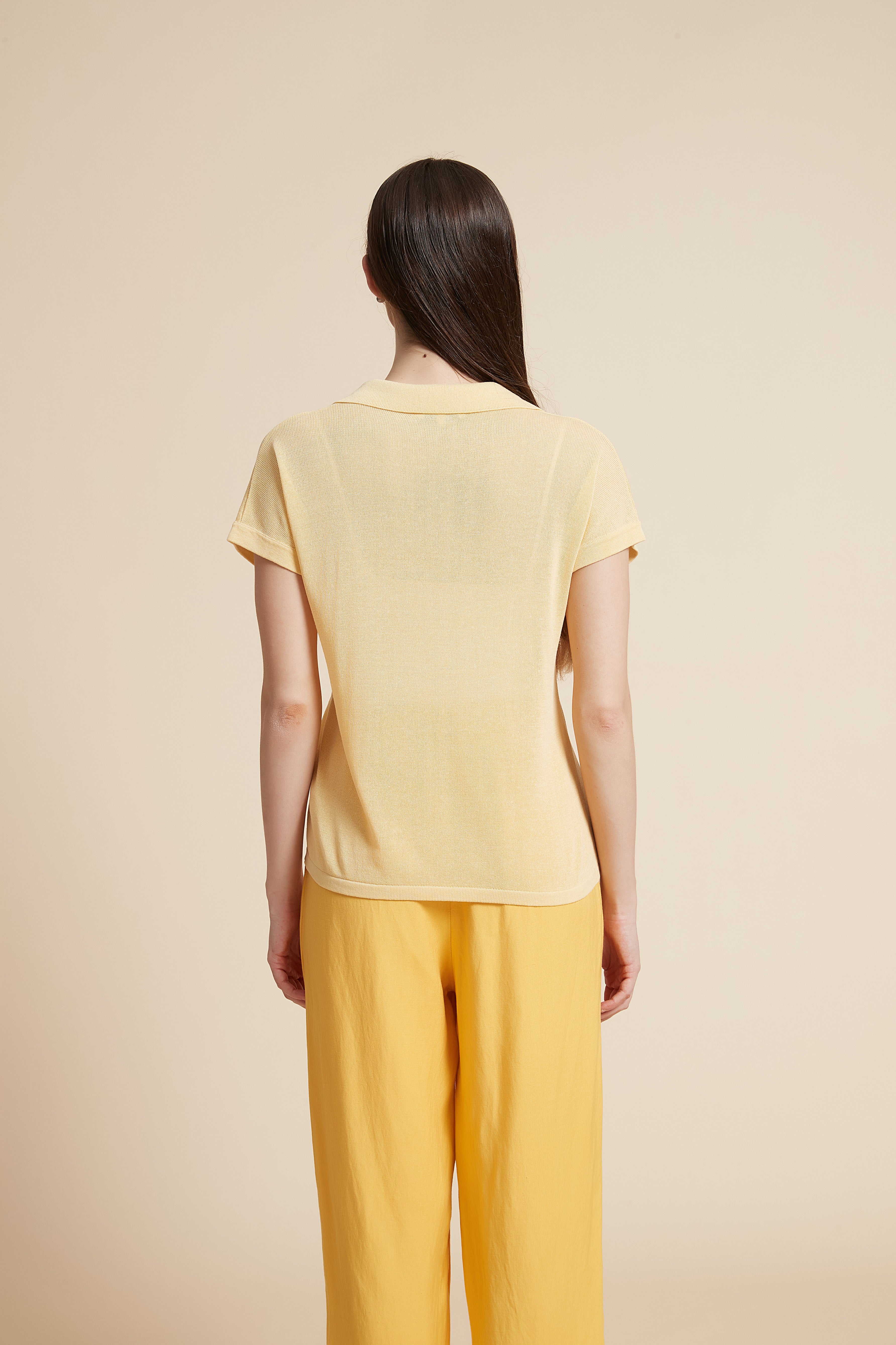 Solid V-Neck Blouse