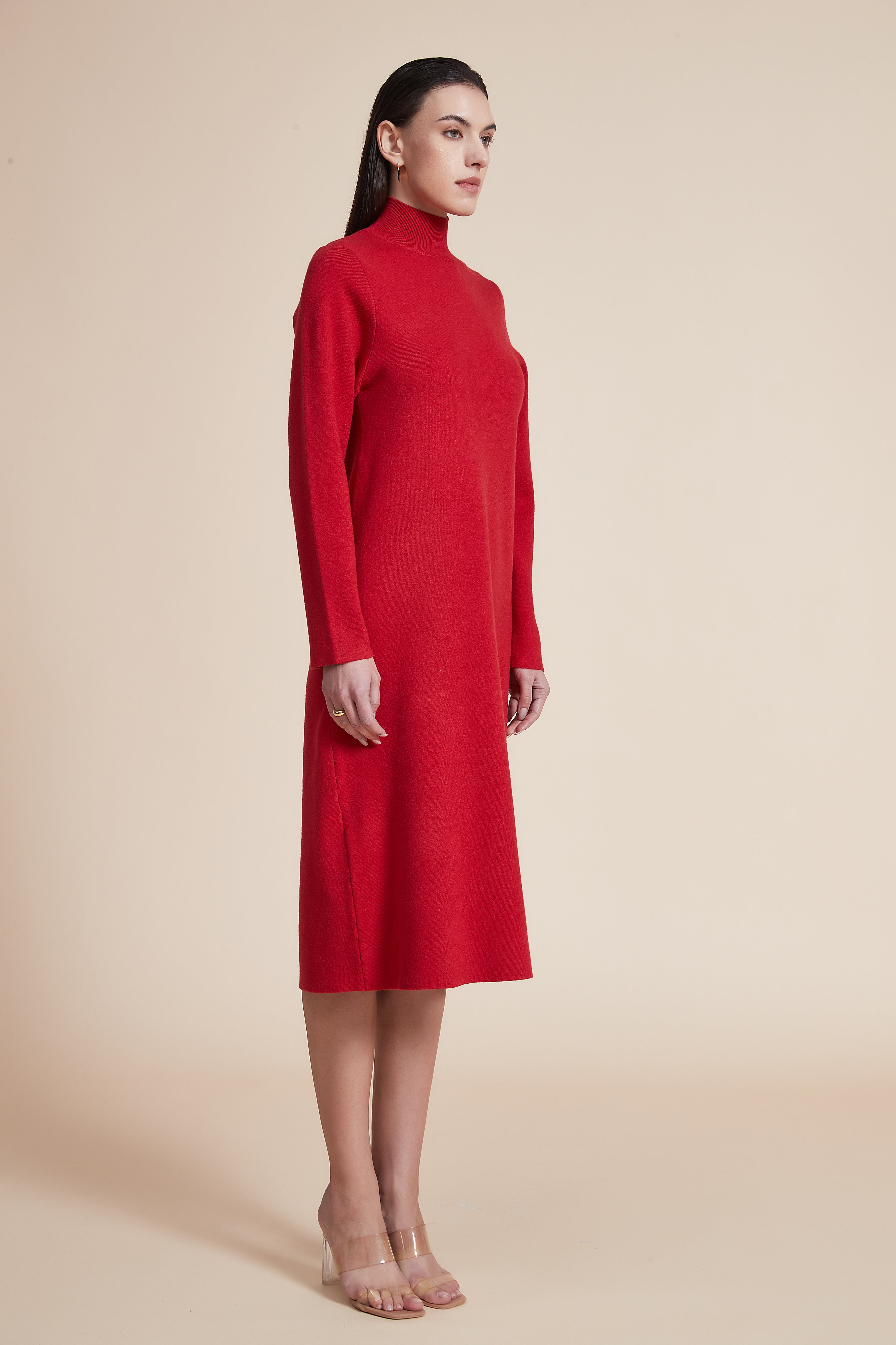 Solid High Neck Long Sleeve Midi Dress