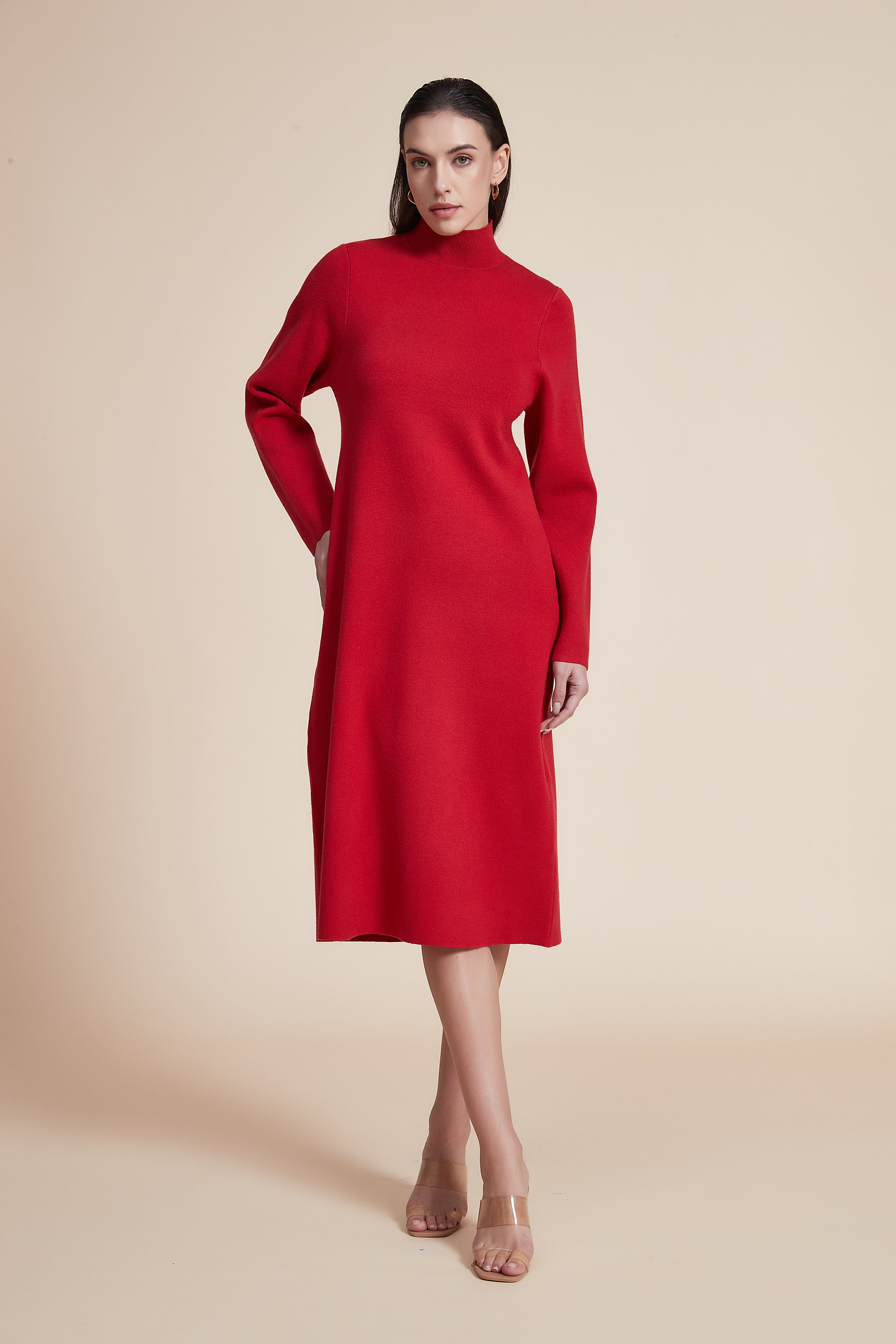 Solid High Neck Long Sleeve Midi Dress
