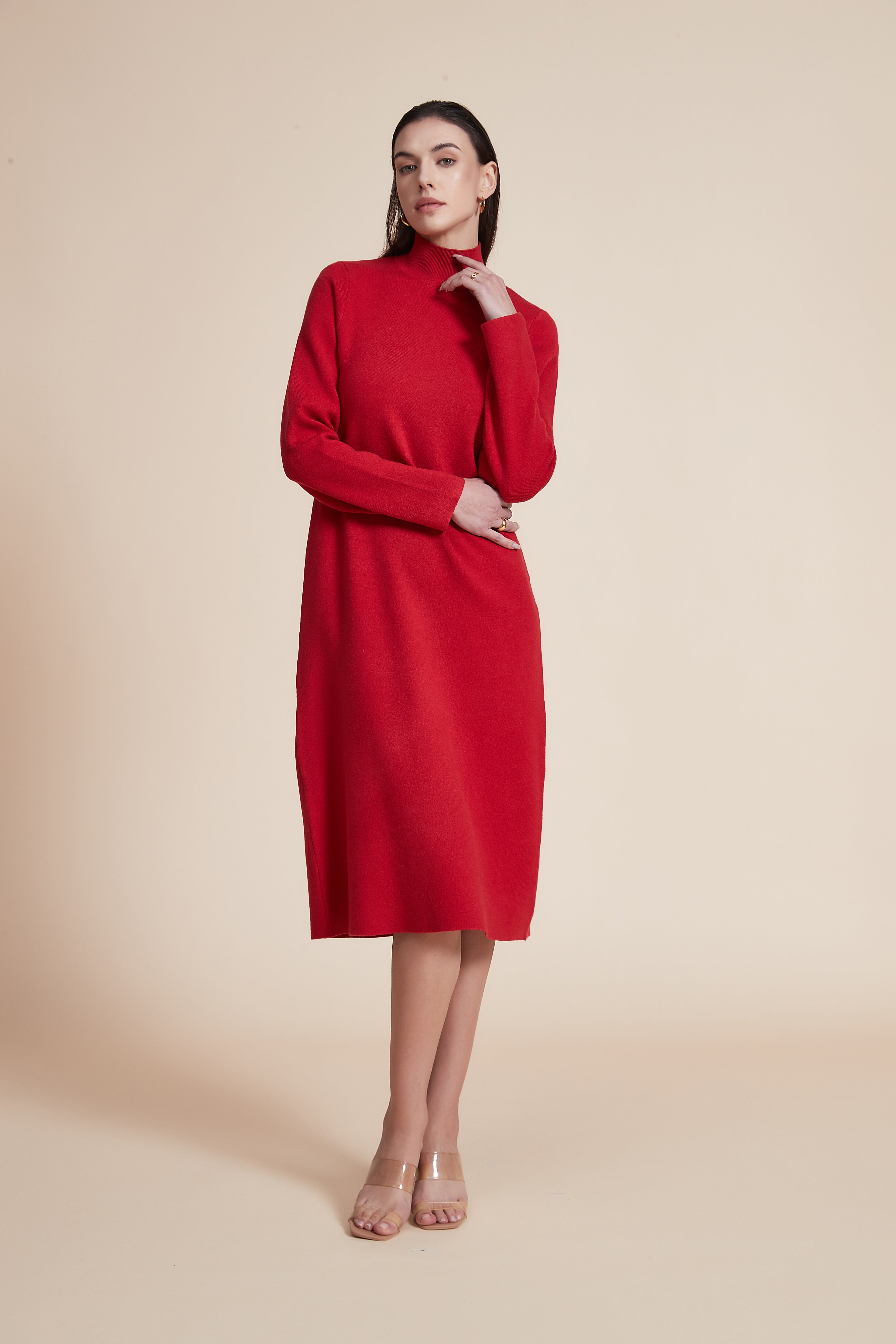 Solid High Neck Long Sleeve Midi Dress