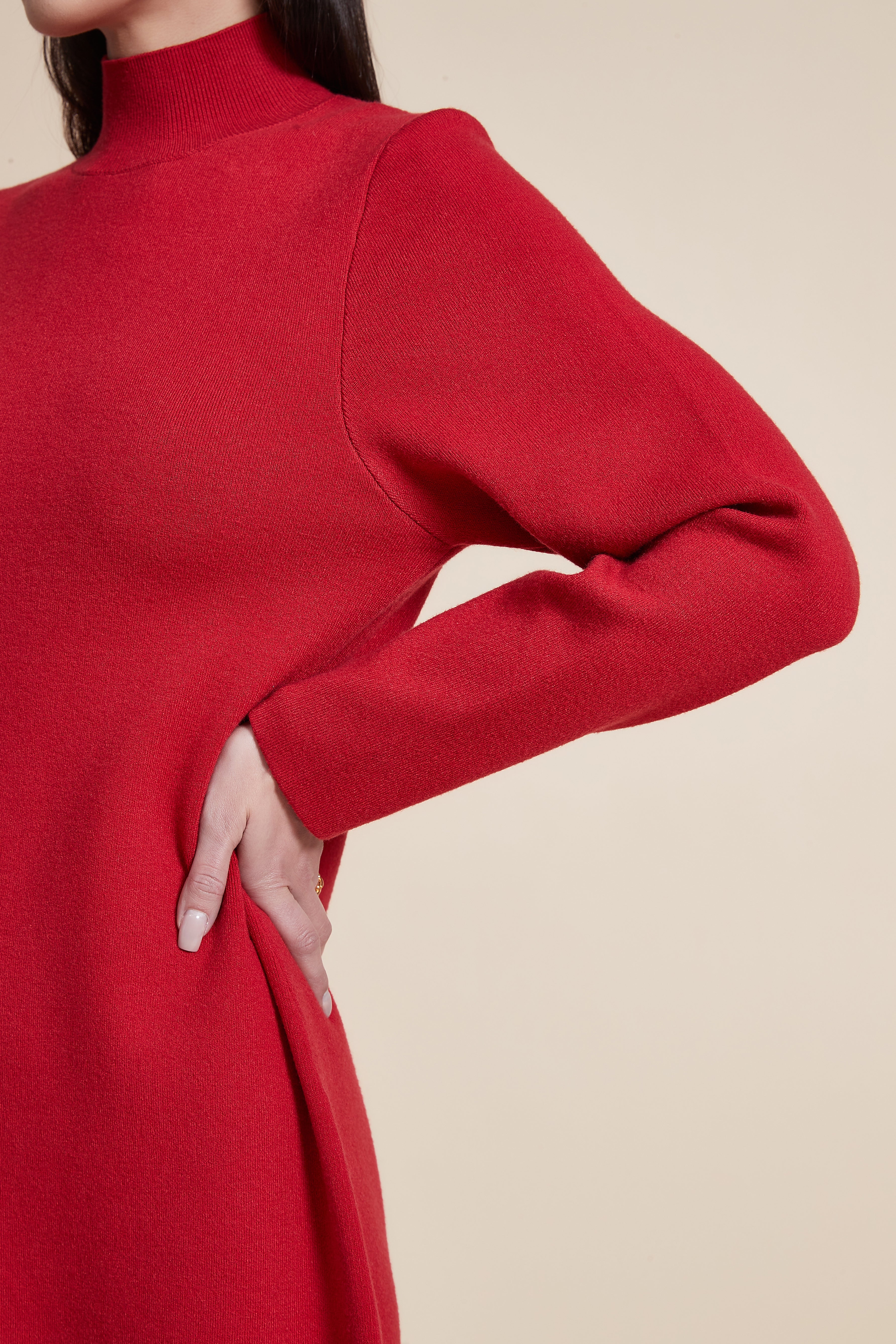 Solid High Neck Long Sleeve Midi Dress