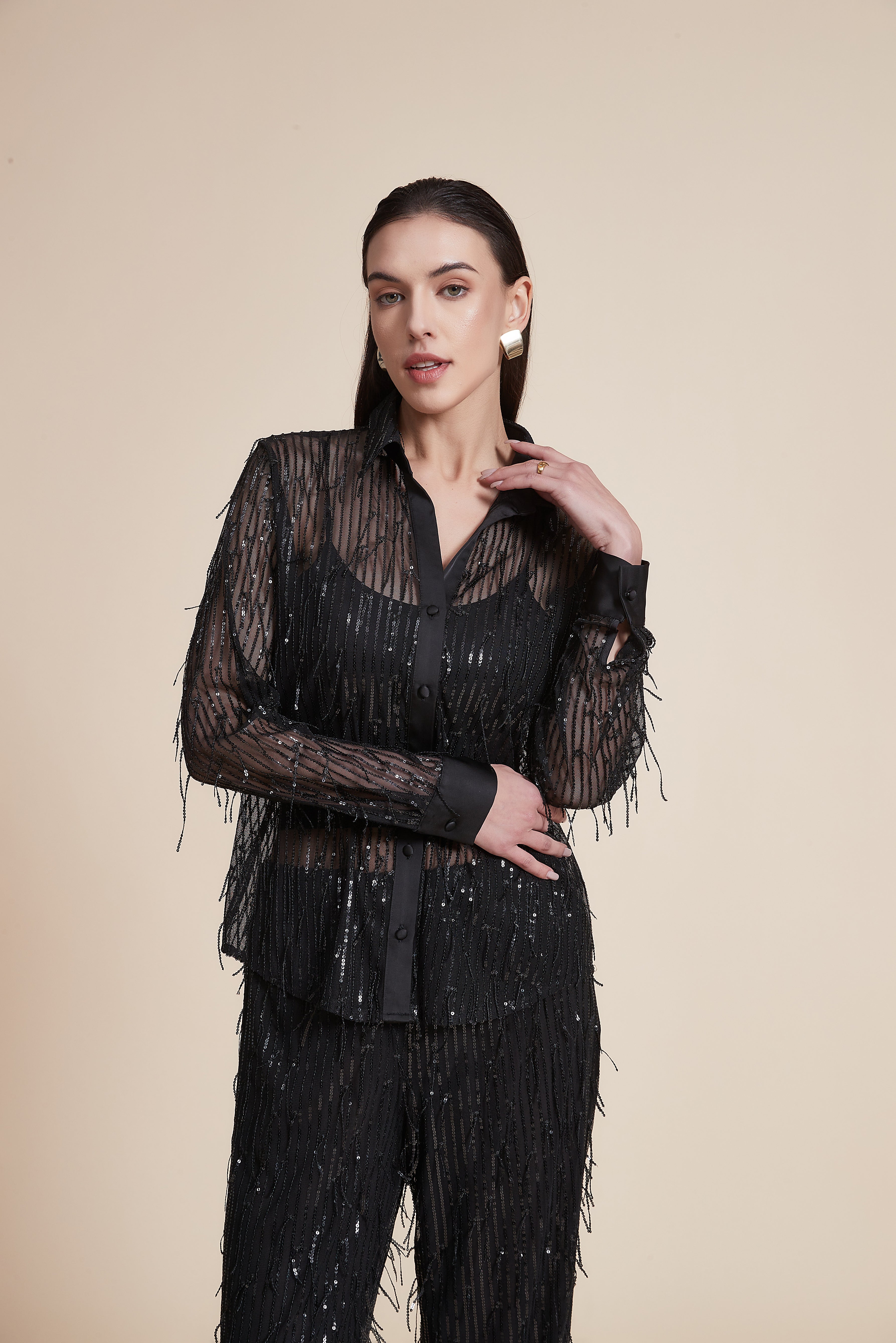 Long Sleeve Sequin Sheer Blouse