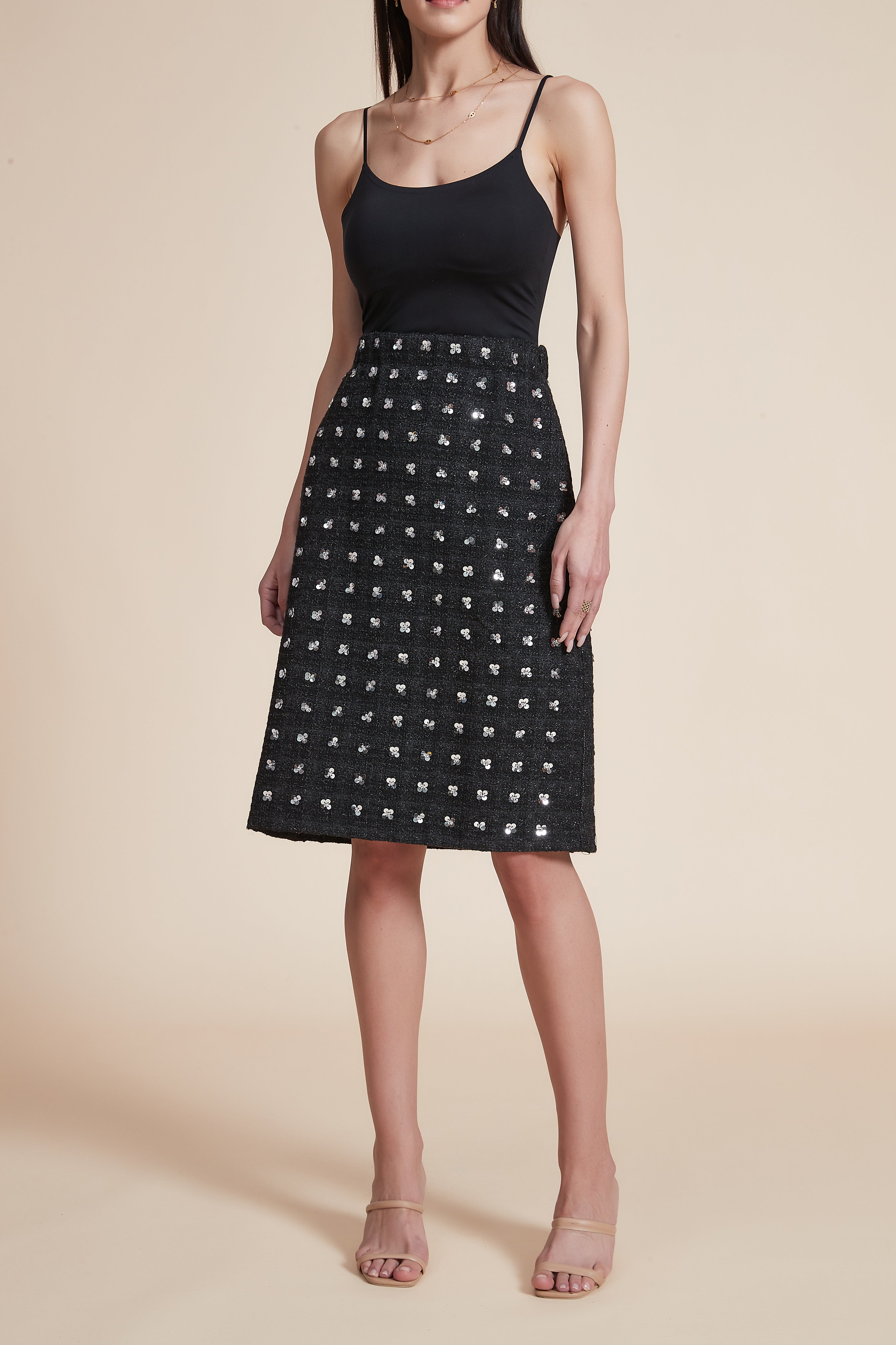 Embroidered Knee-Length Skirt