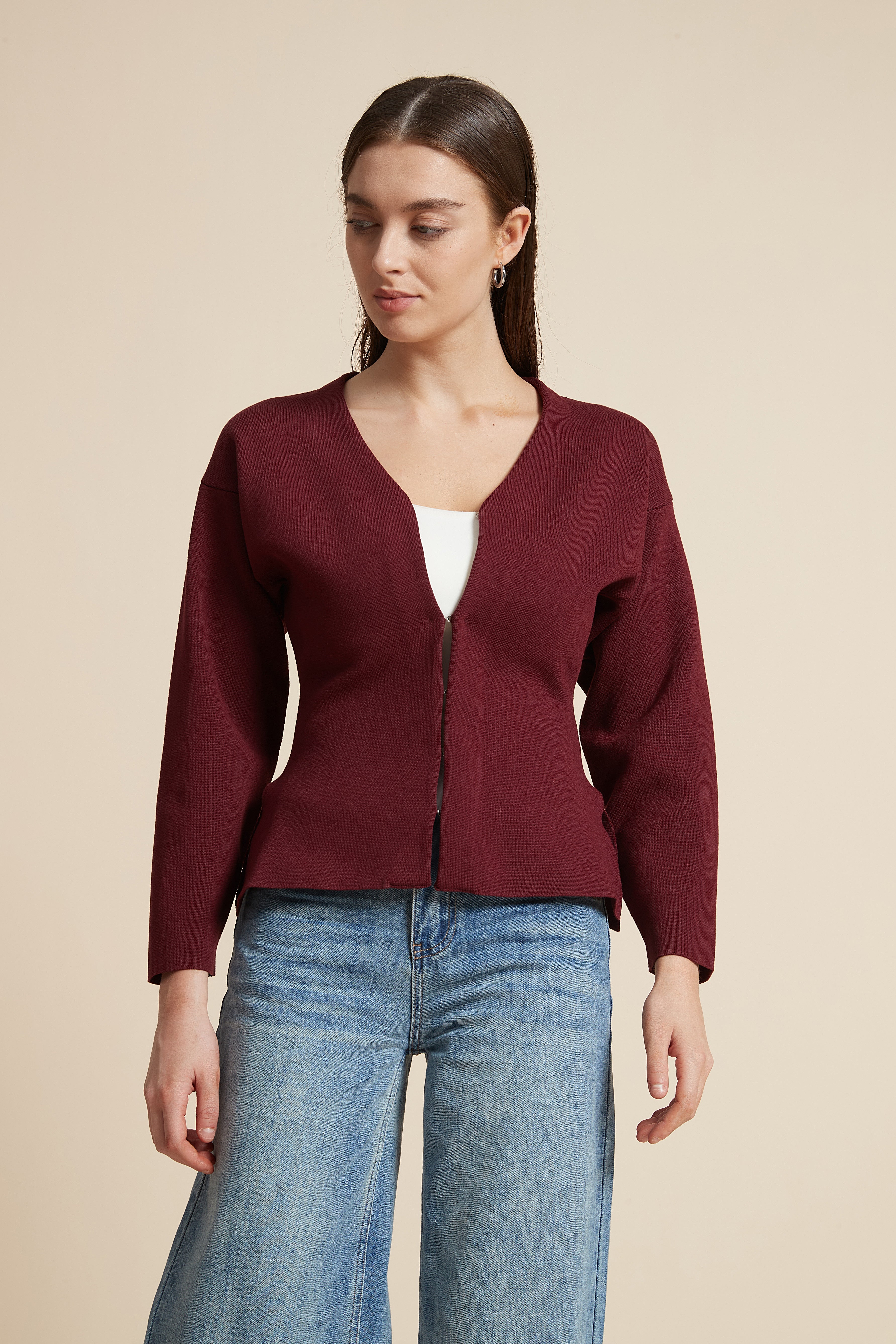 Solid Long Sleeve Waist-Length V-Neck Blouse