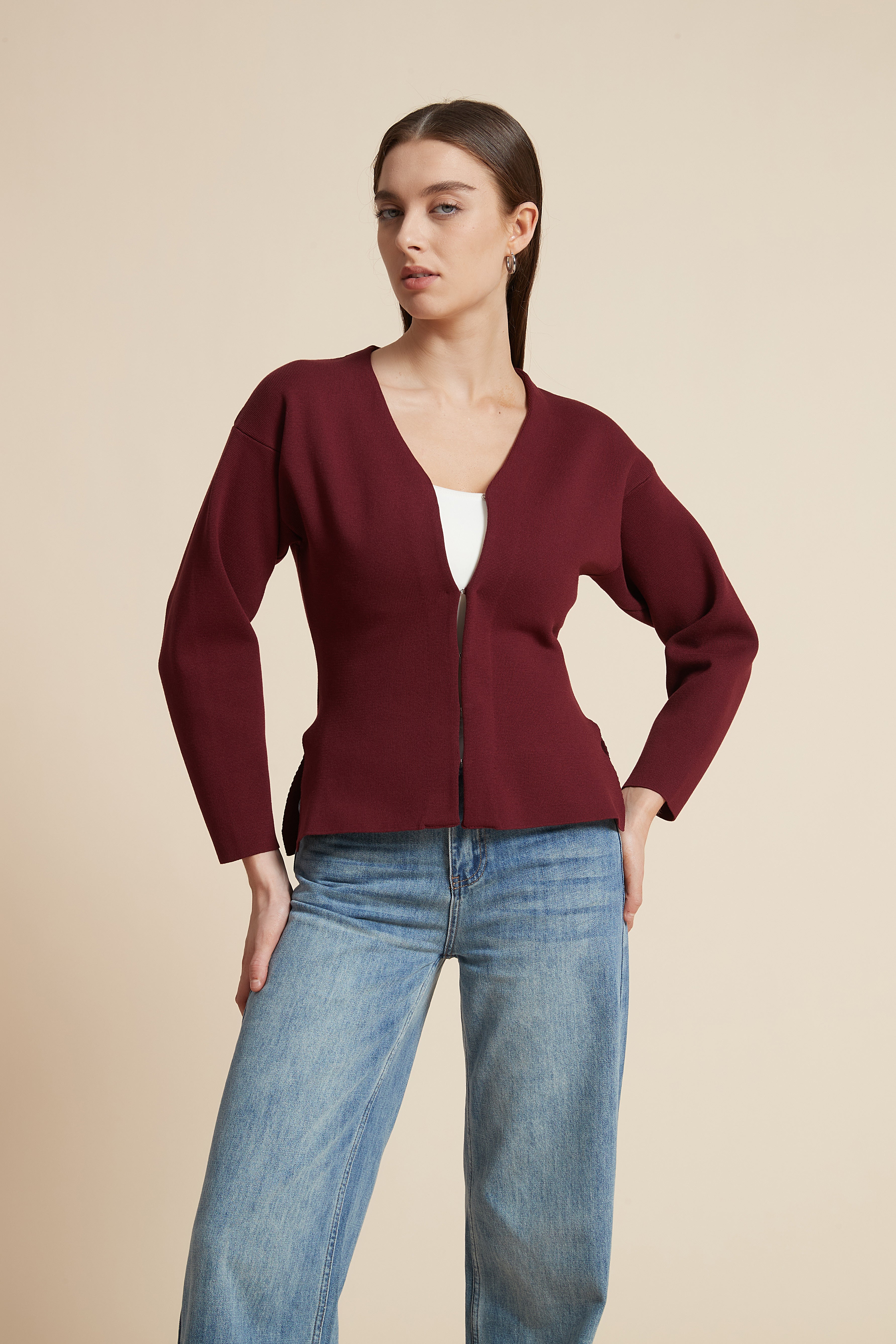 Solid Long Sleeve Waist-Length V-Neck Blouse