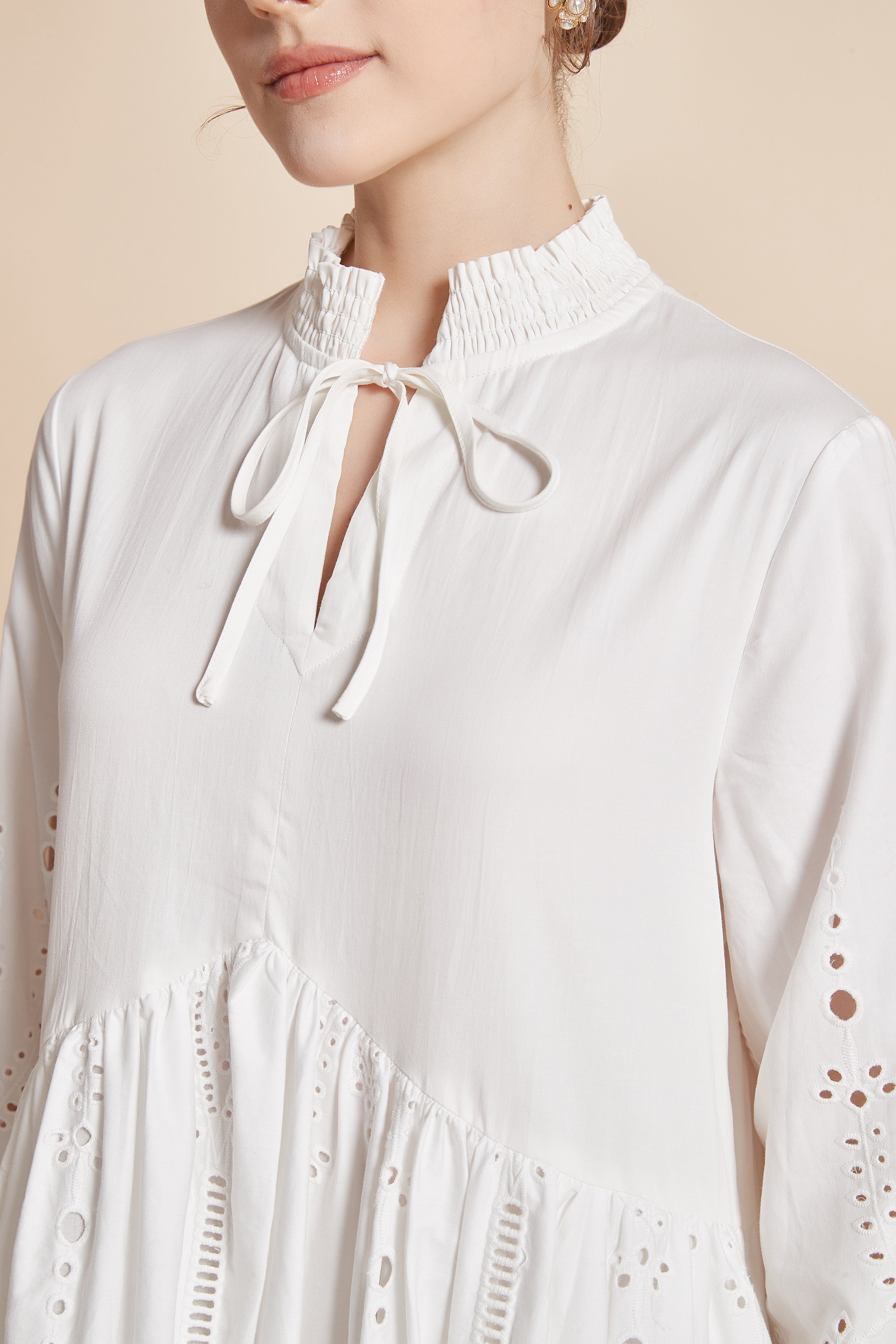 Long Dress With Eyelet Embroidery, Long Sleeves, High Neck, And Tie