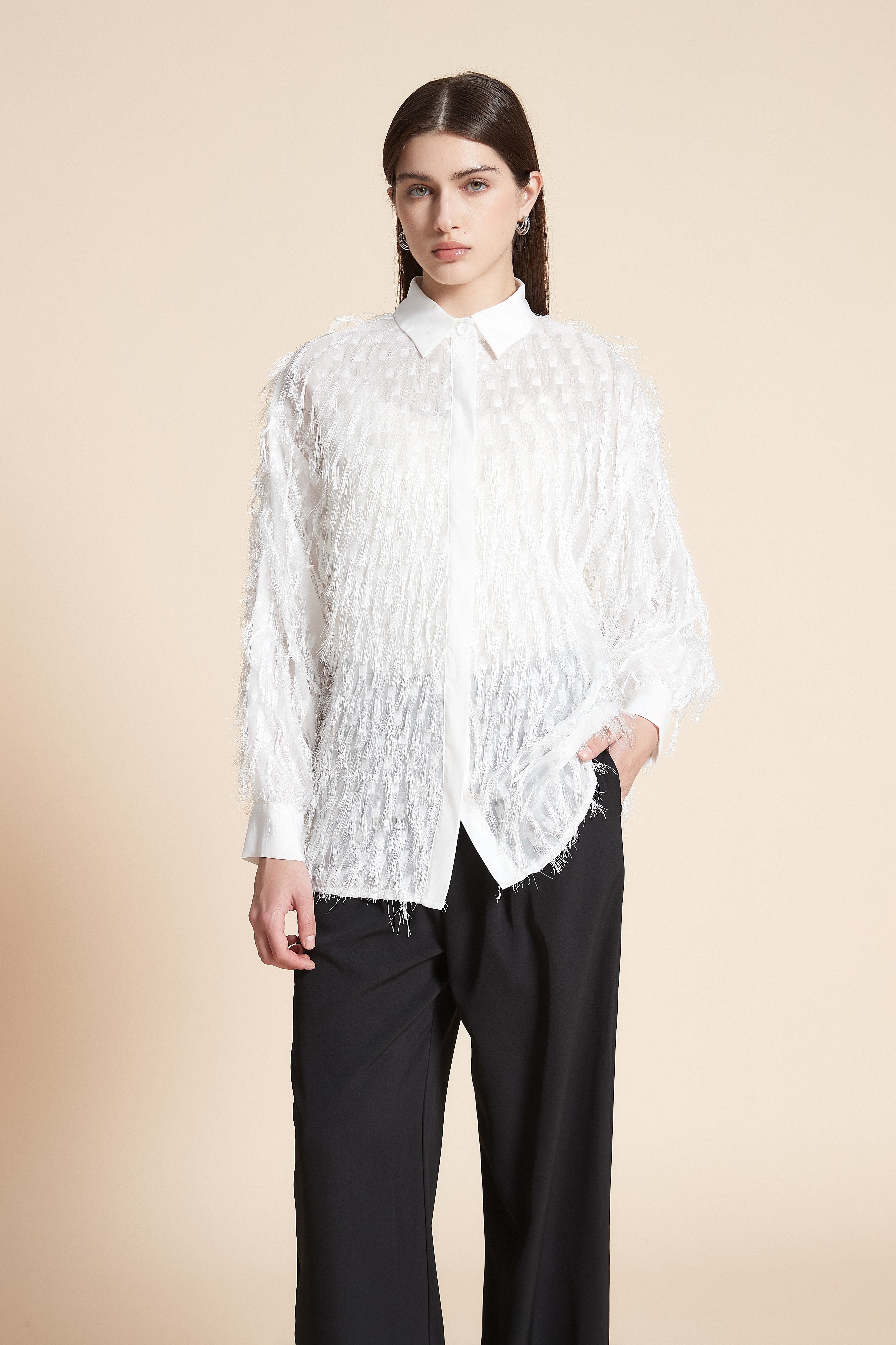 Feather Long Sleeve Waist-Length Blouse