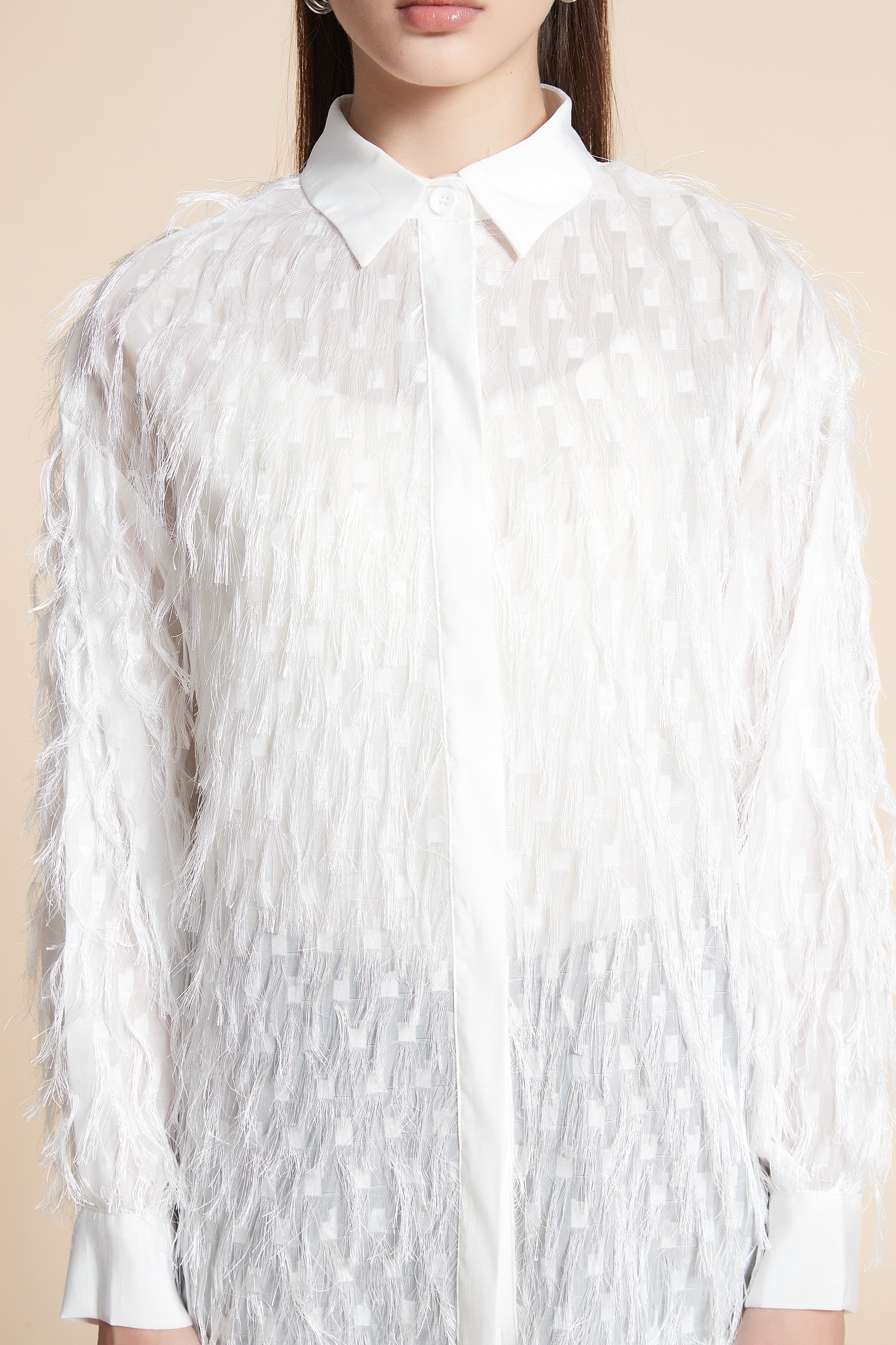 Feather Long Sleeve Waist-Length Blouse