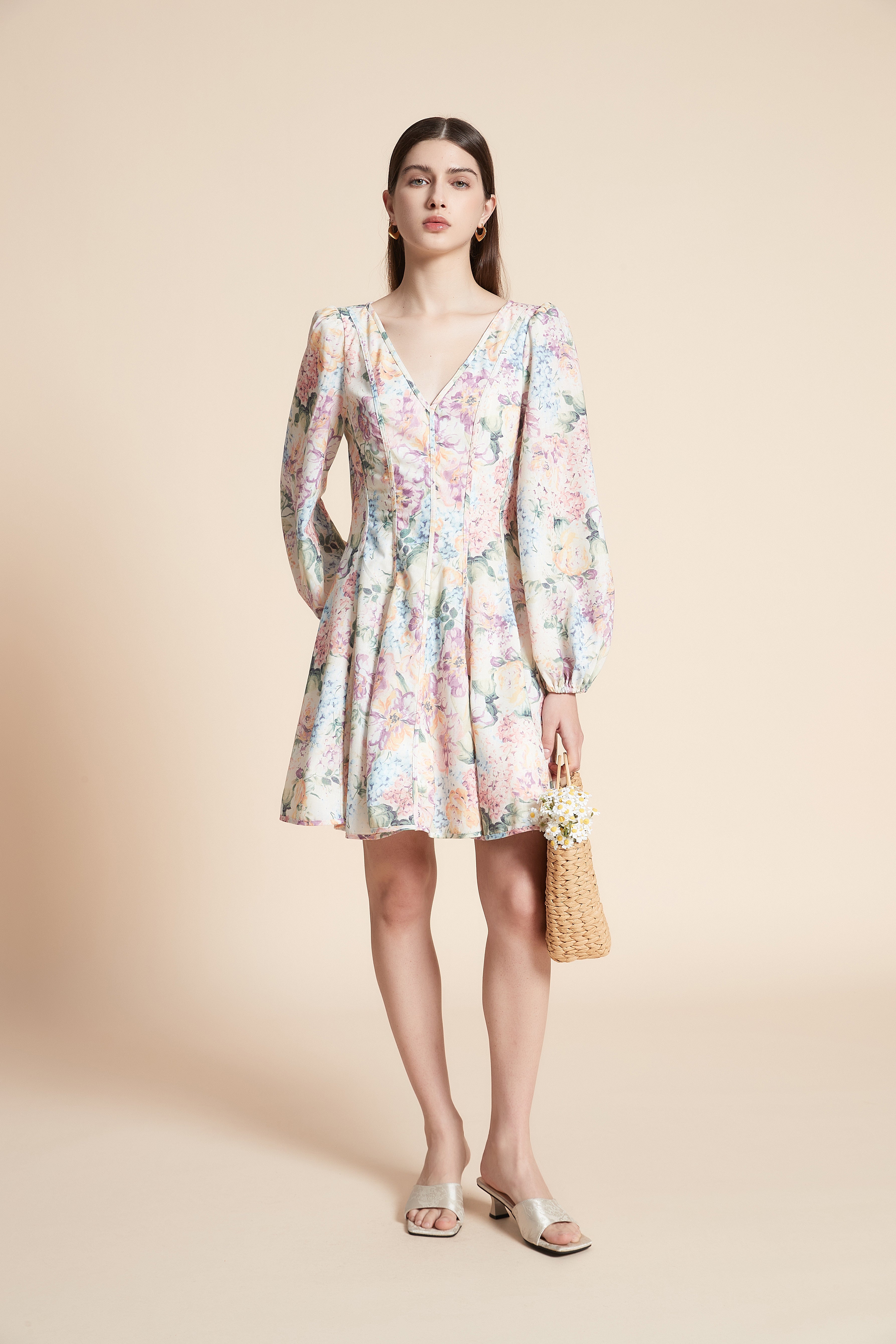 Long Sleeve Printed Mini Dress