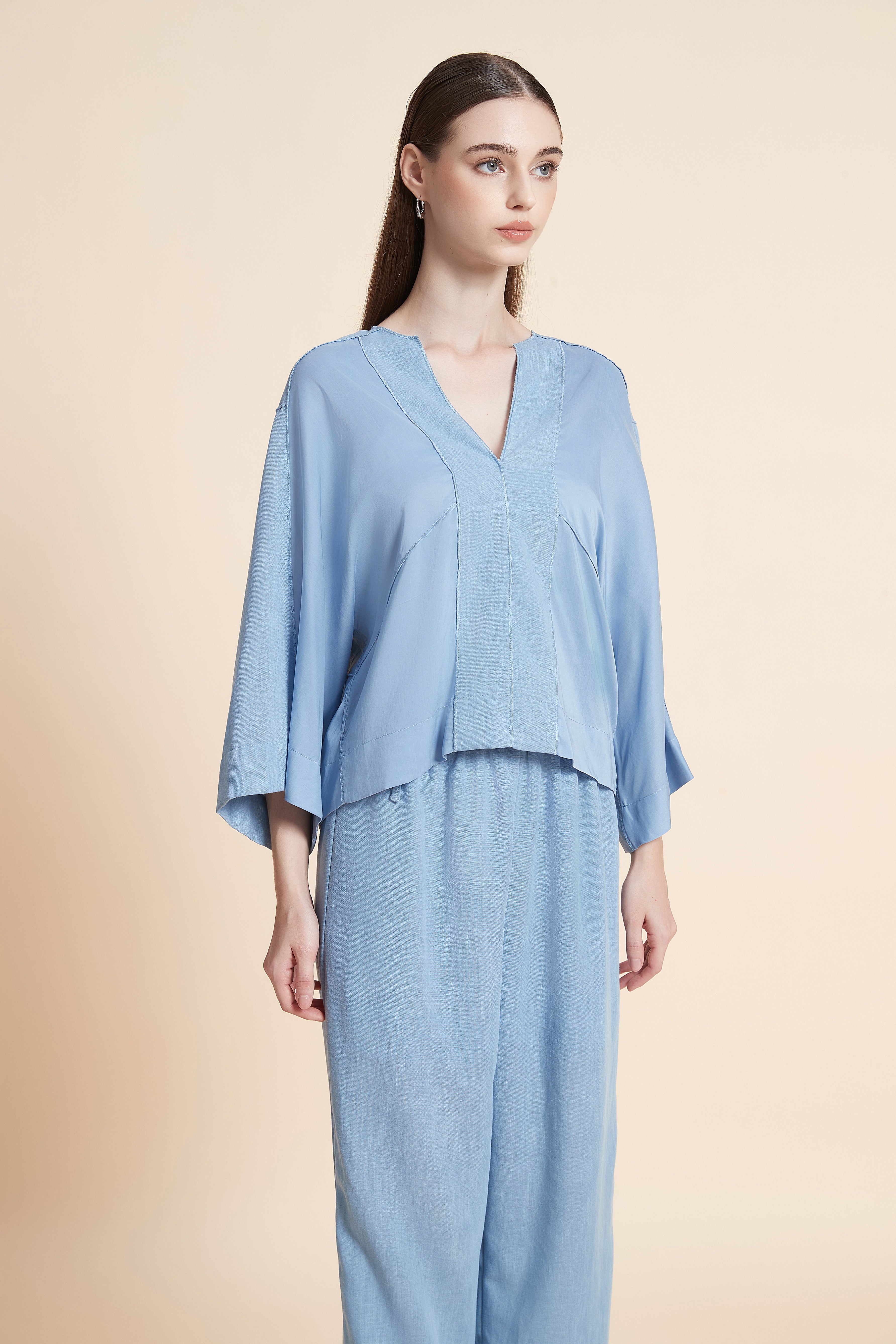 Relaxed V-Neck House Top