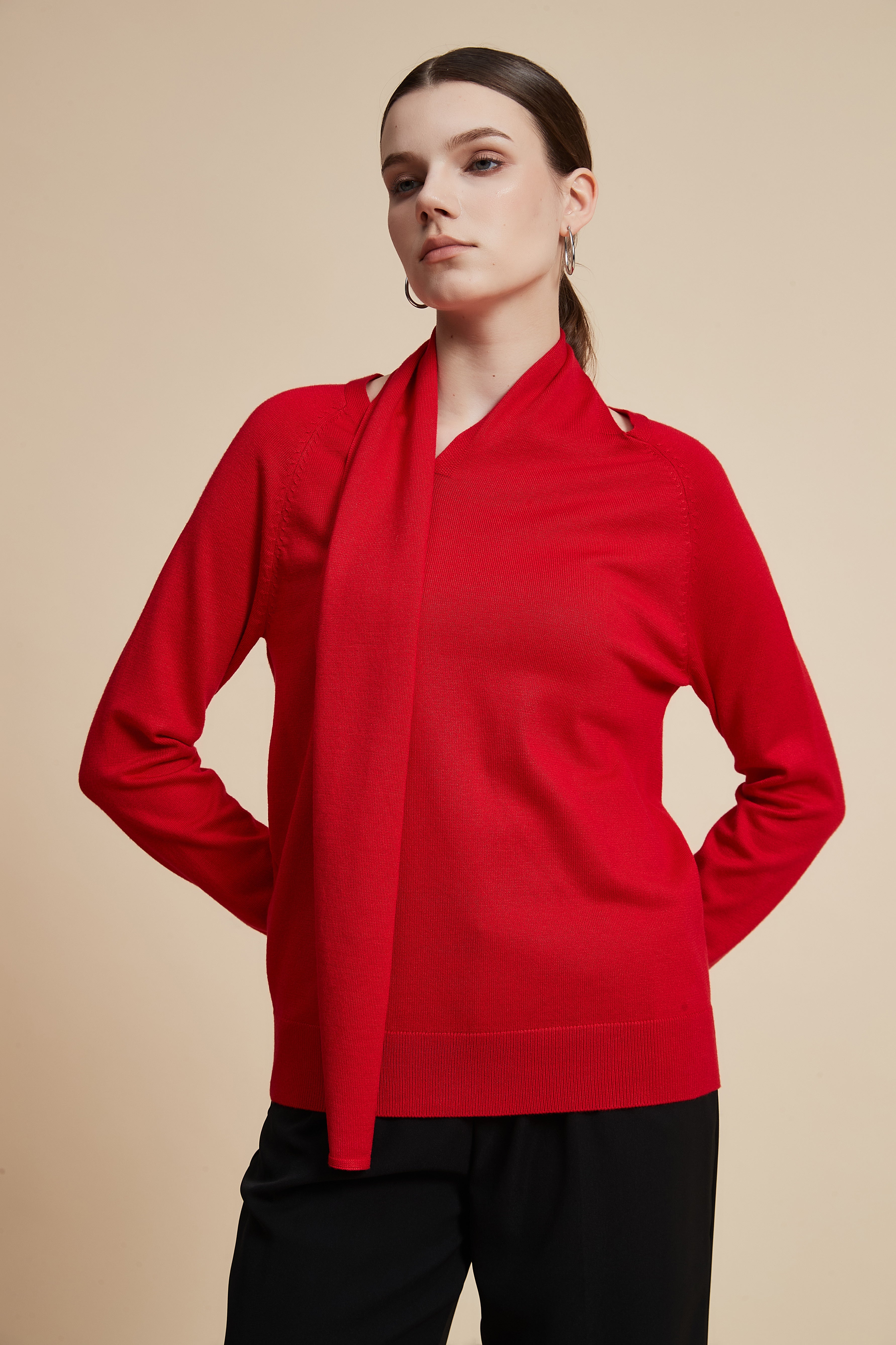 Solid Long Sleeve Cropped Sweater