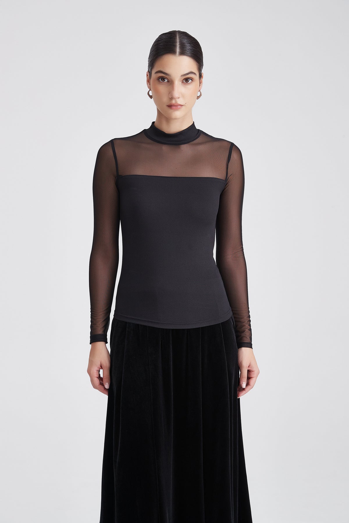 Sheer Long-Sleeve Top with High Neck