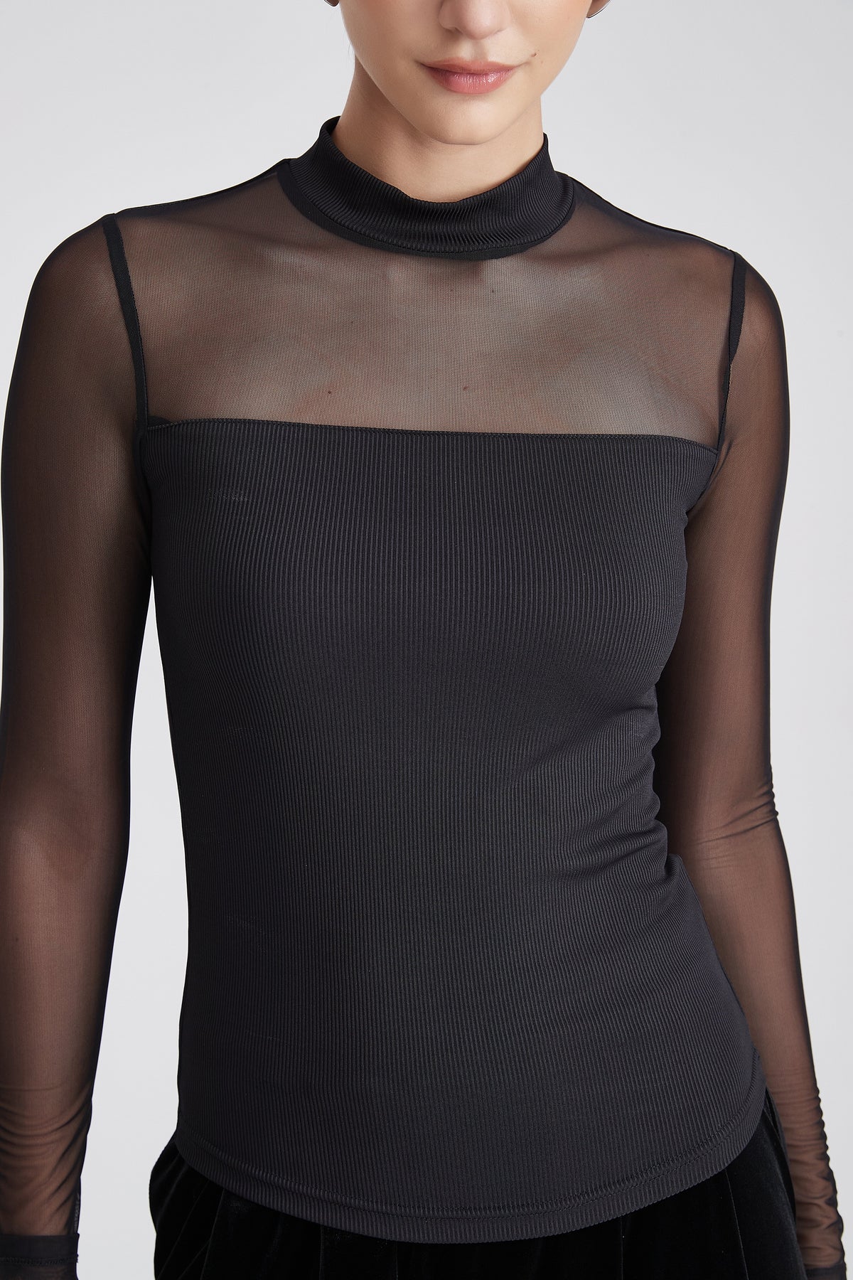 Sheer Long-Sleeve Top with High Neck