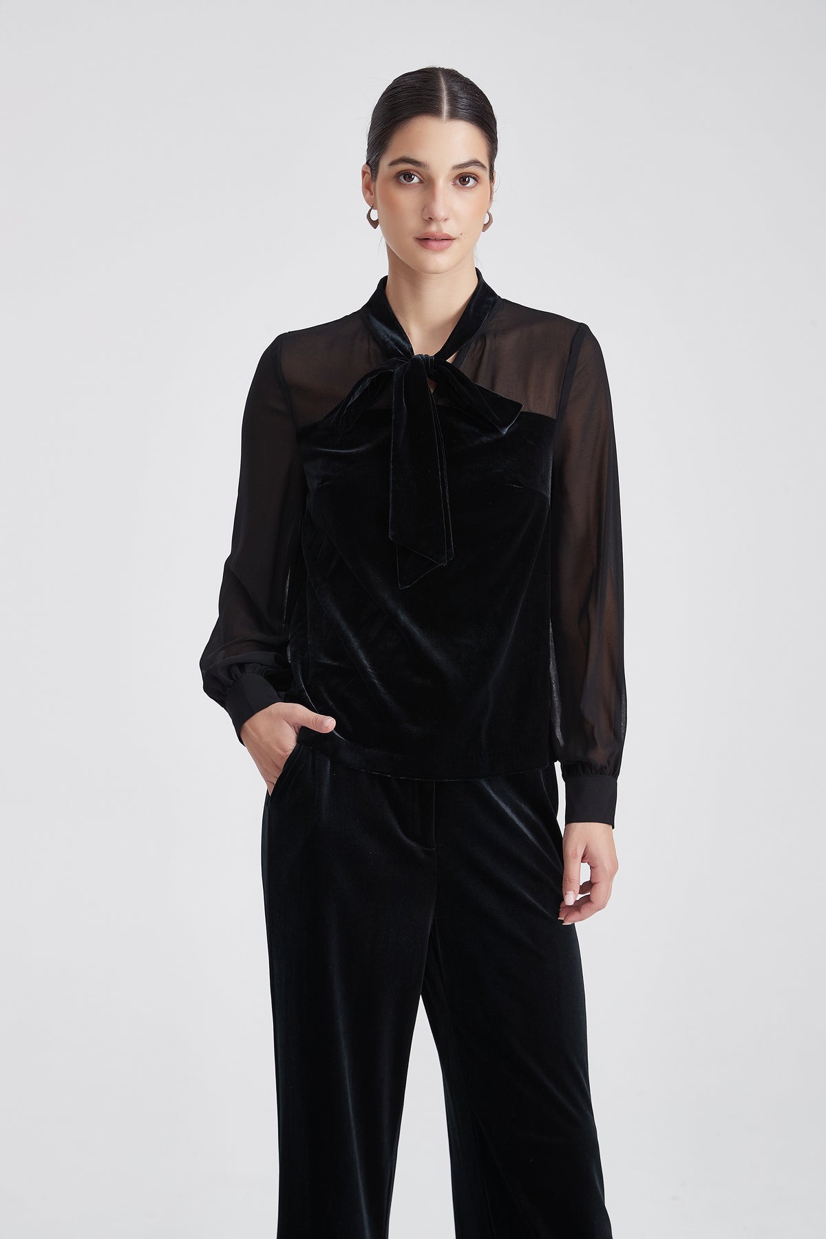 Velvet Blouse with Bow Neck and Sheer Chiffon Sleeves