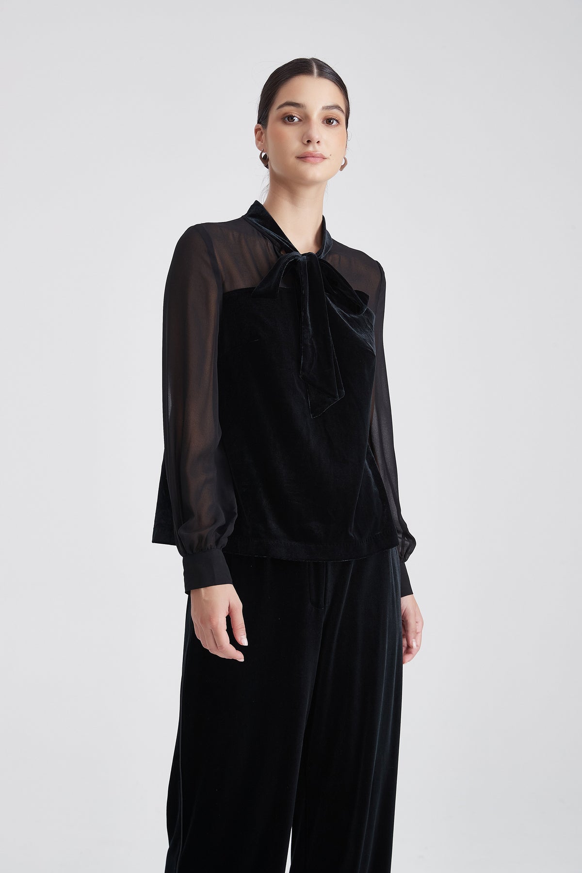 Velvet Blouse with Bow Neck and Sheer Chiffon Sleeves