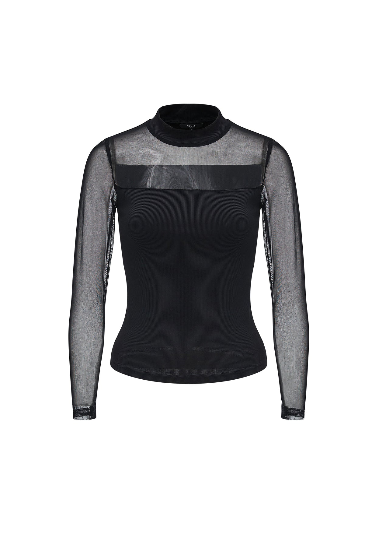 Sheer Long-Sleeve Top with High Neck
