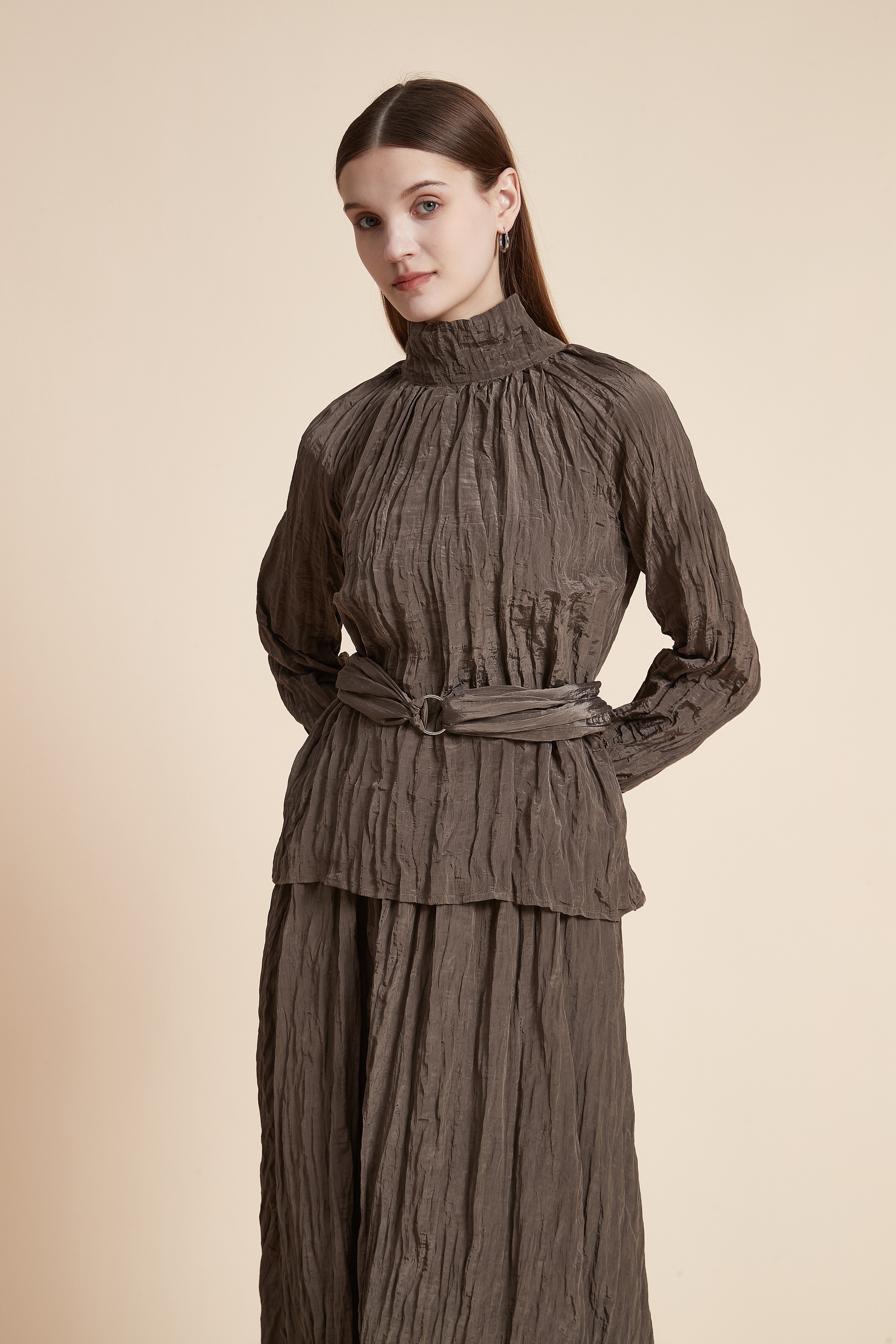 Solid High Neck Long Sleeve Blouse