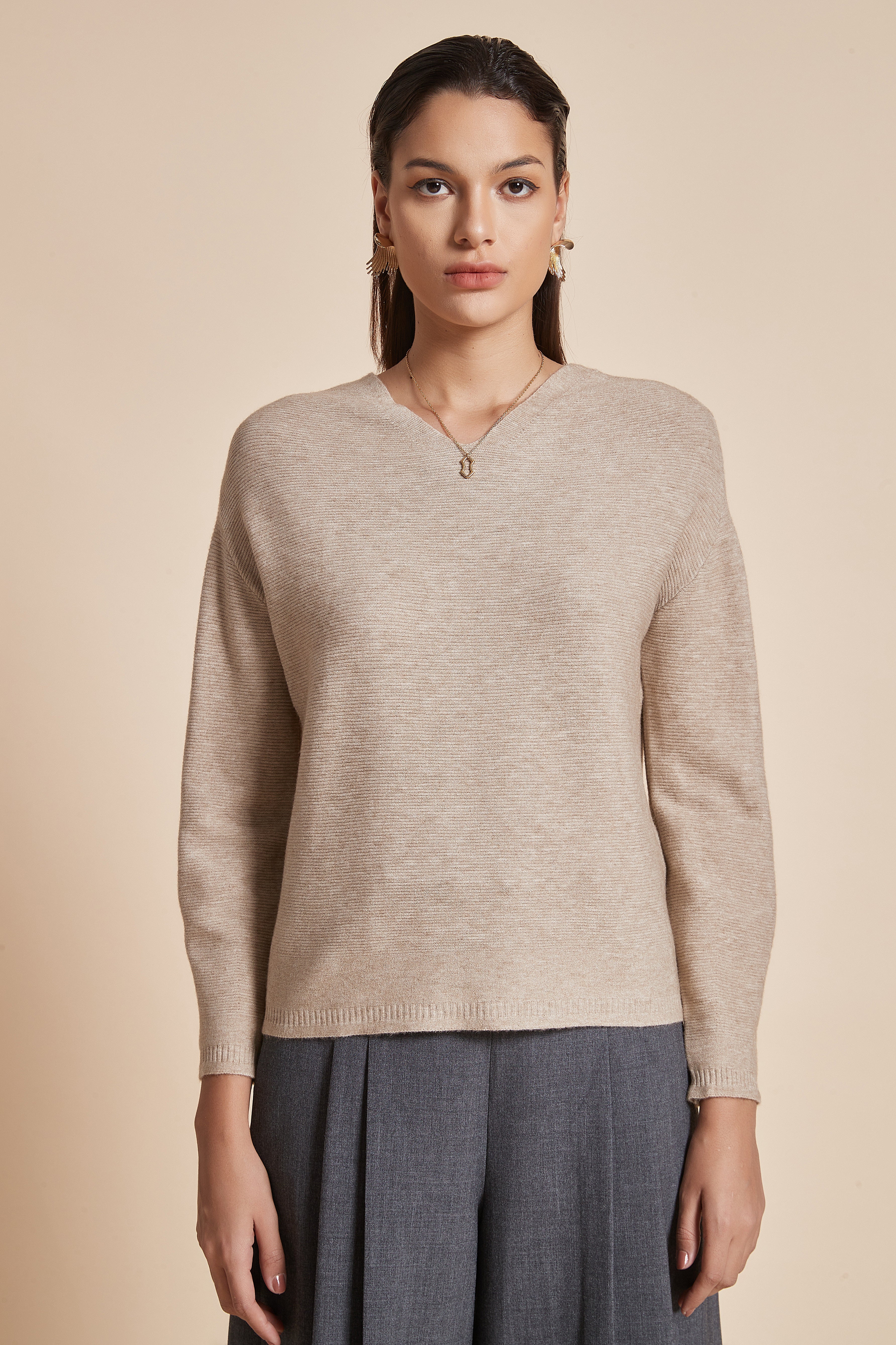 Plain Blouse With Long Sleeves And V-Neck