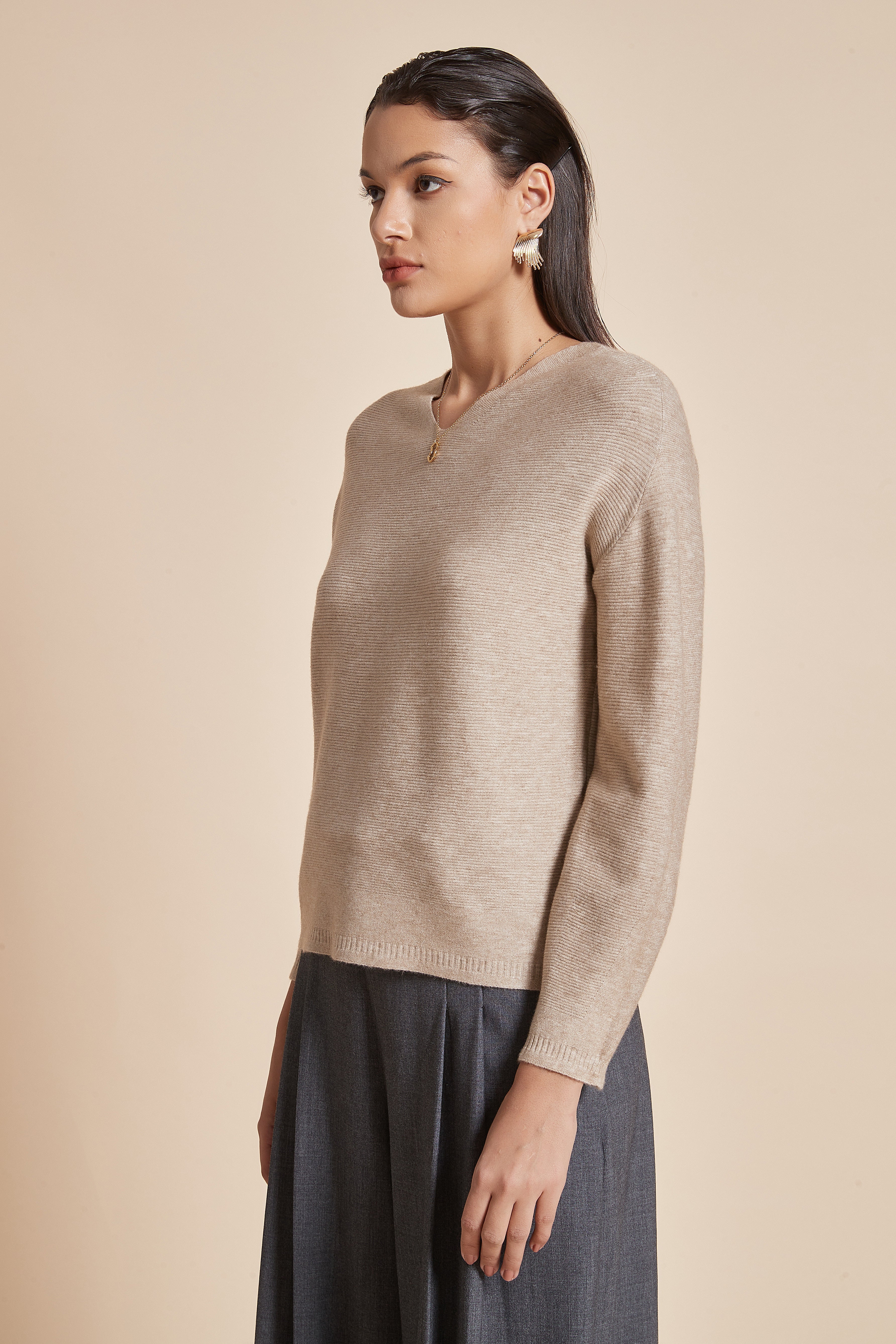 Plain Blouse With Long Sleeves And V-Neck