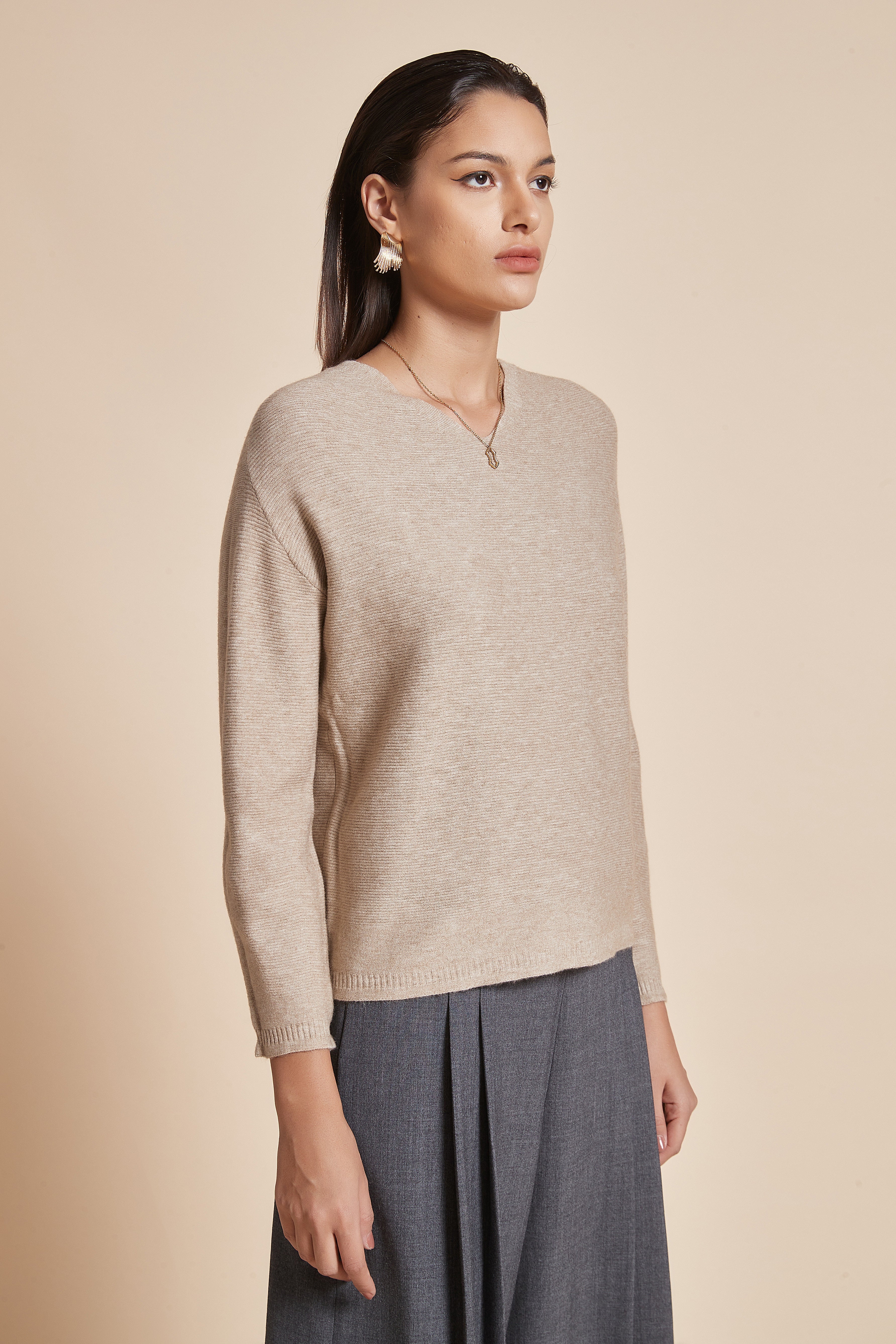 Plain Blouse With Long Sleeves And V-Neck