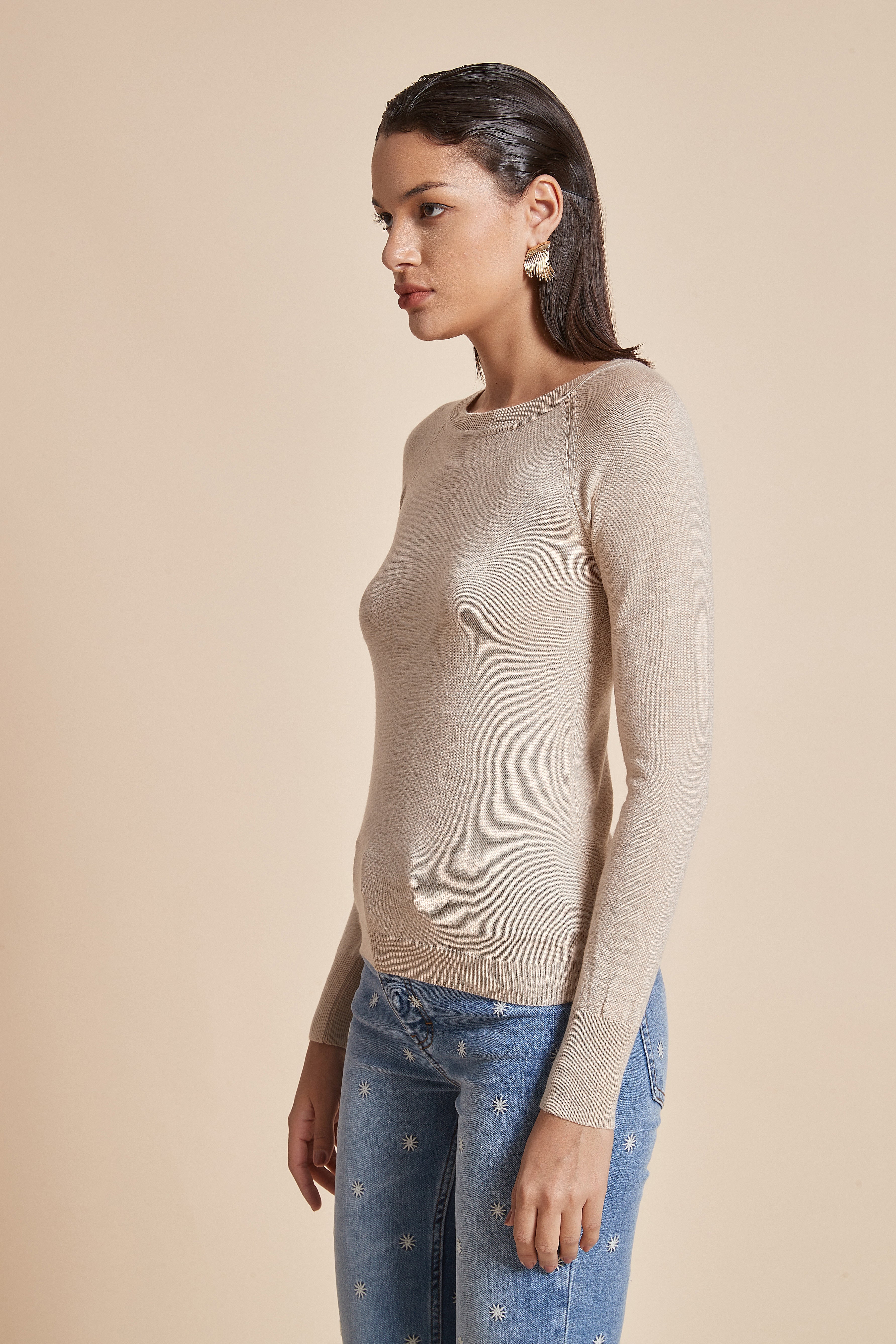 Fitted Plain Blouse With Long Sleeves