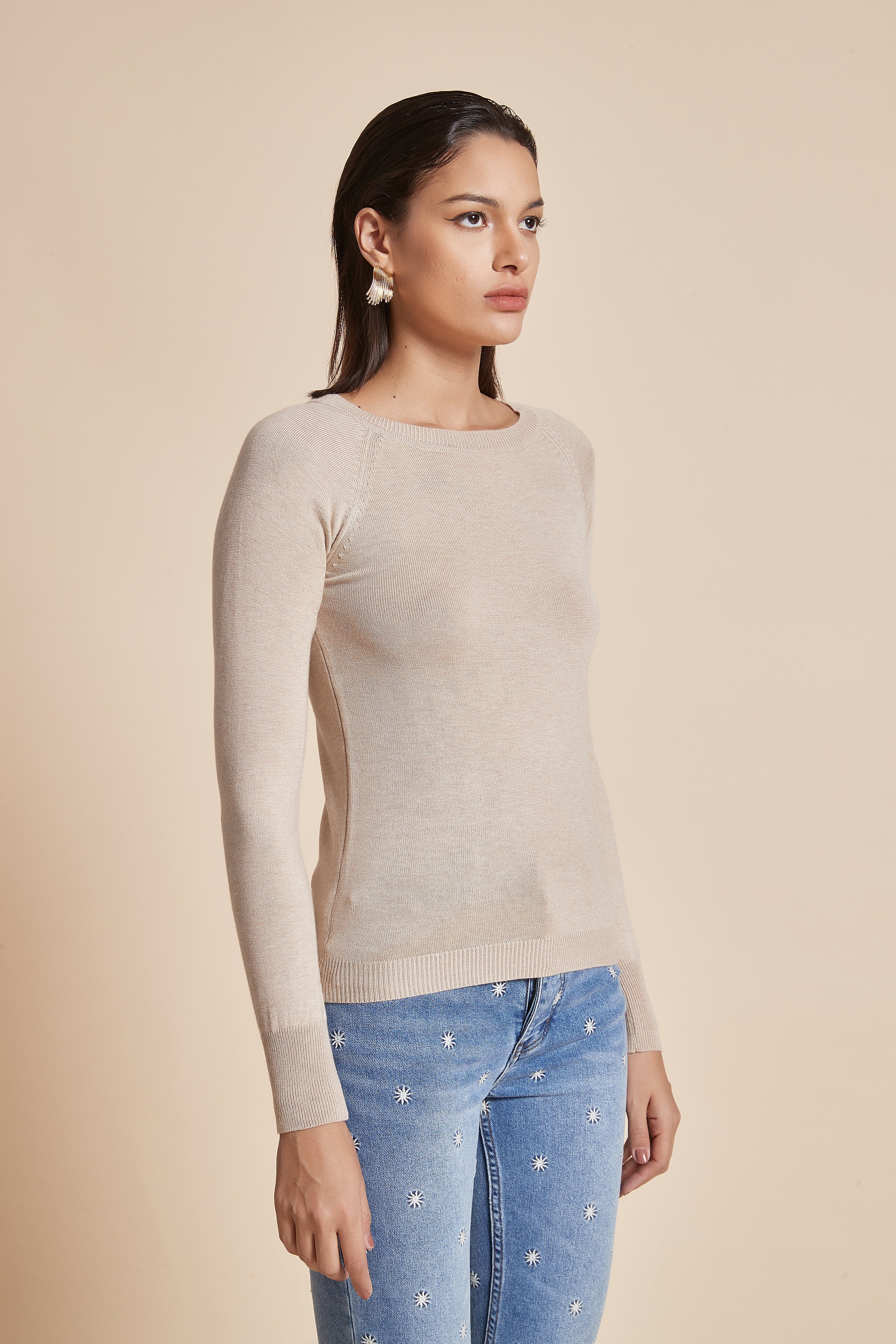 Fitted Plain Blouse With Long Sleeves