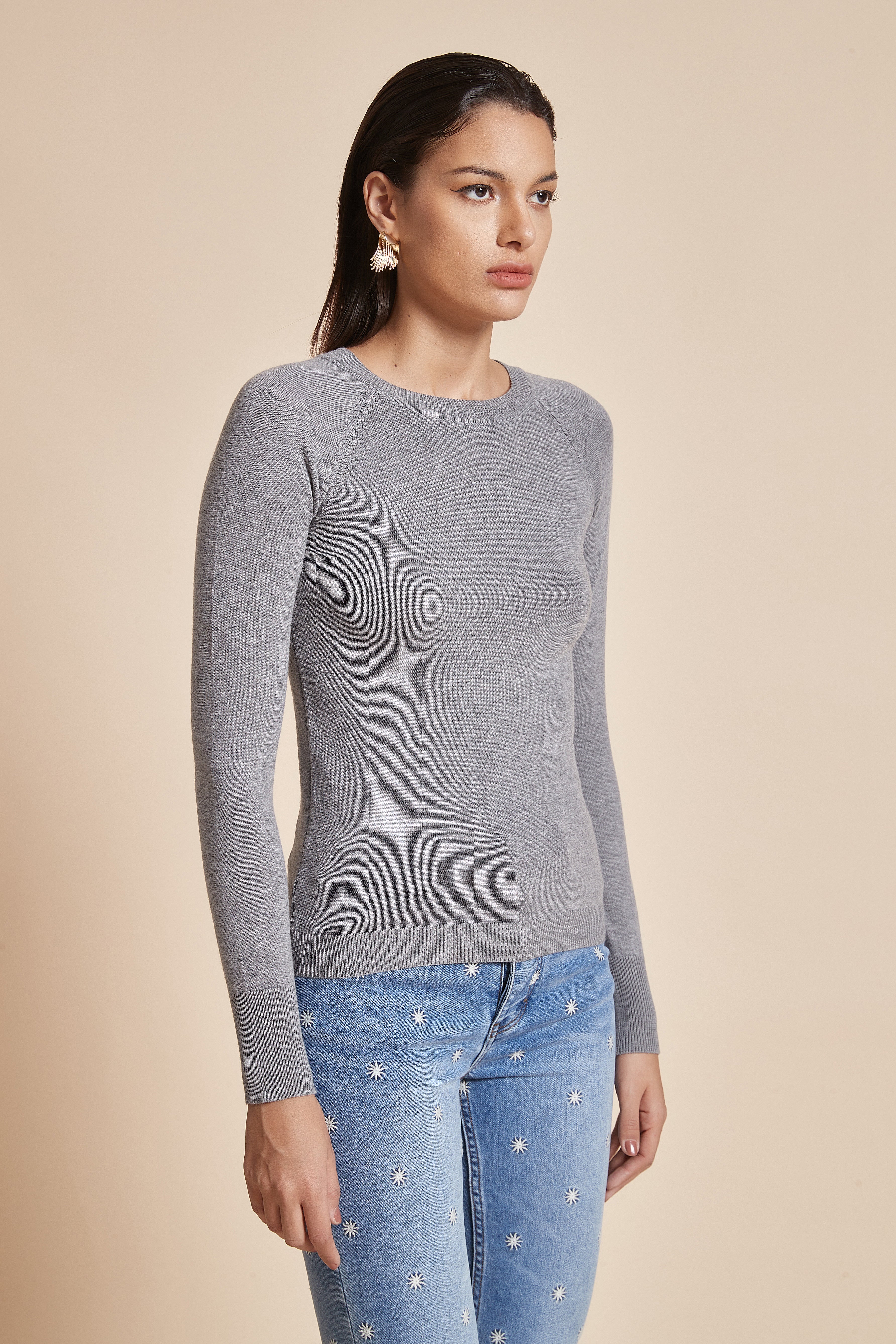 Fitted Plain Blouse With Long Sleeves
