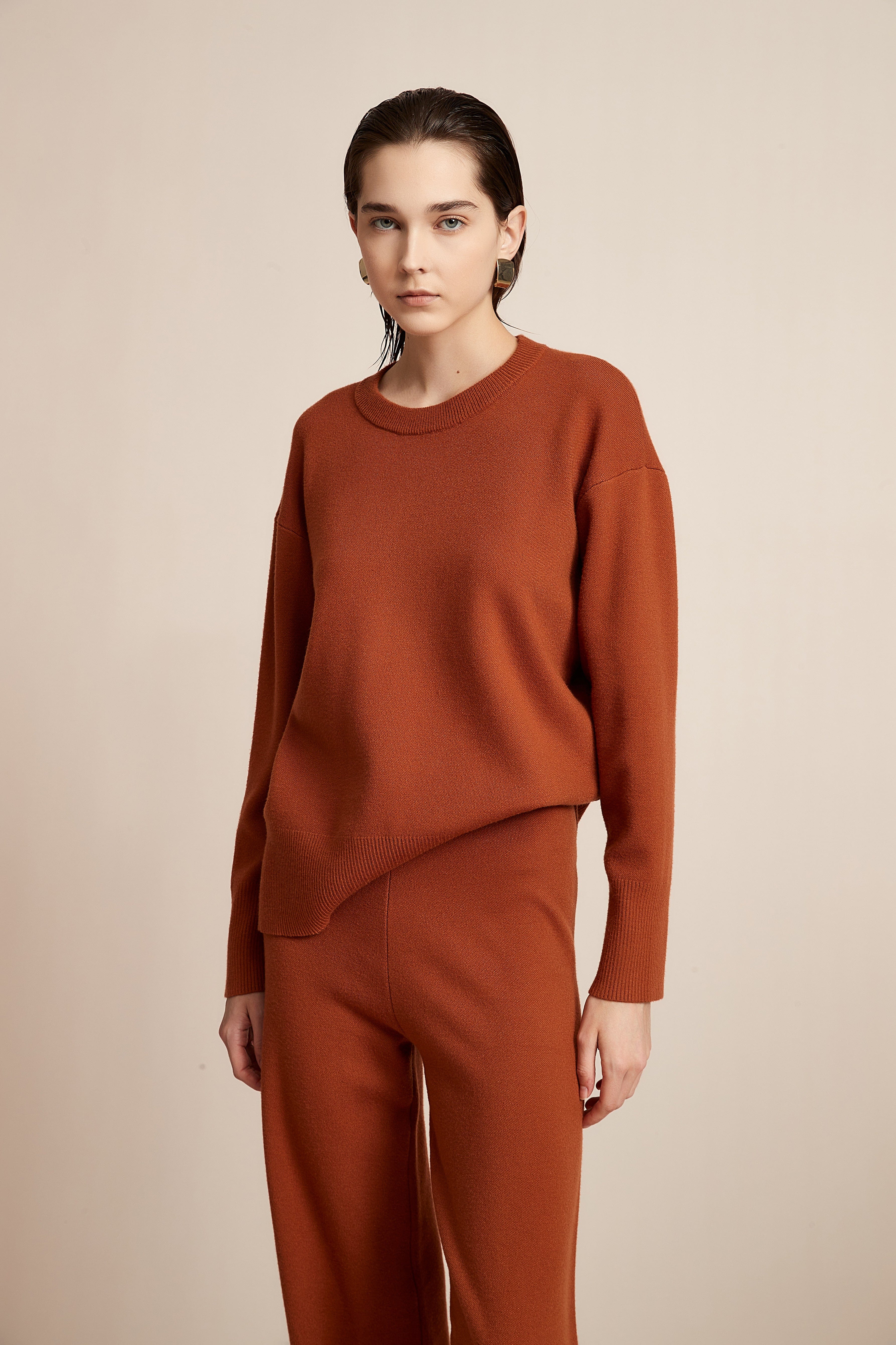 Long Sleeve Solid Winter Blouse