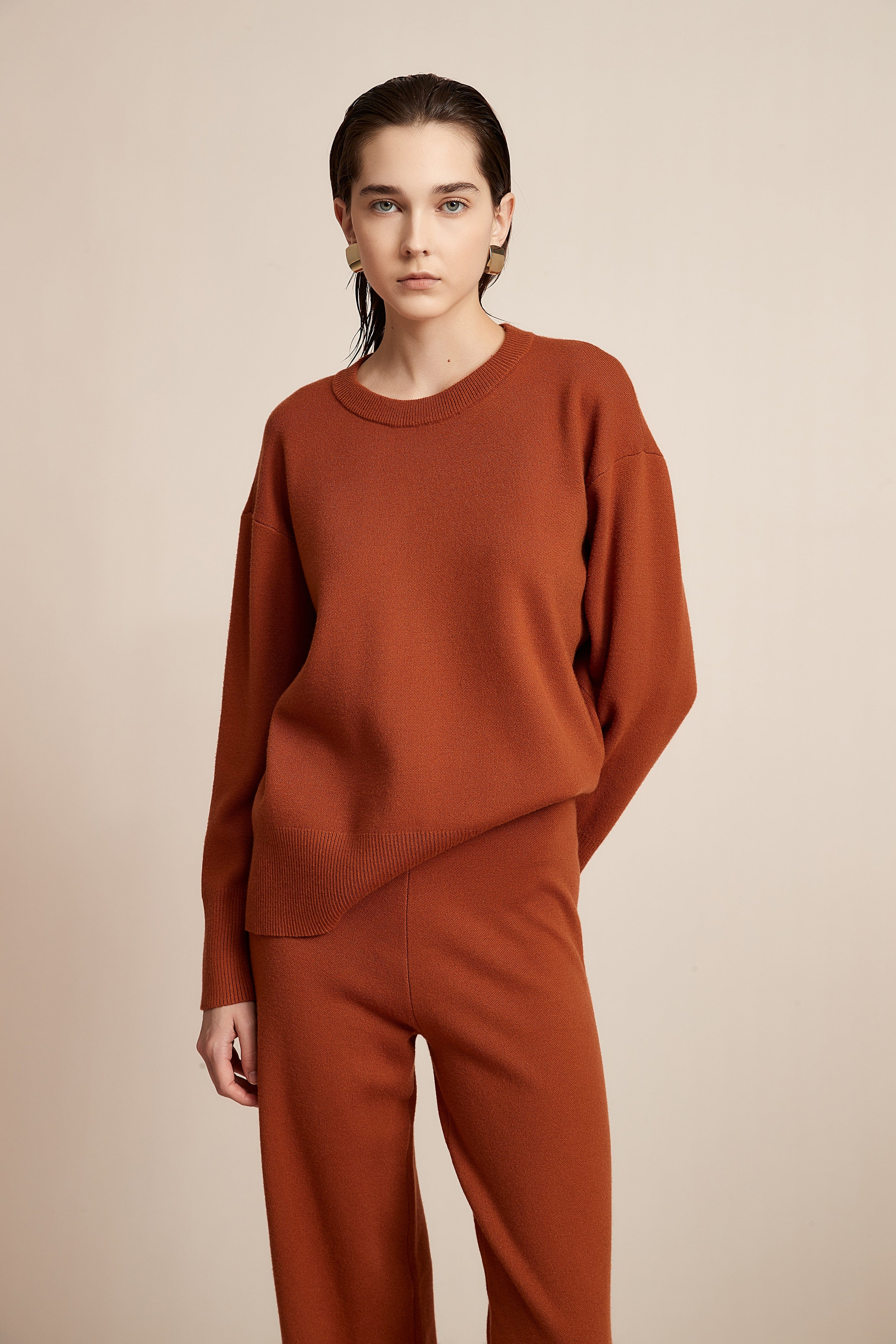 Long Sleeve Solid Winter Blouse