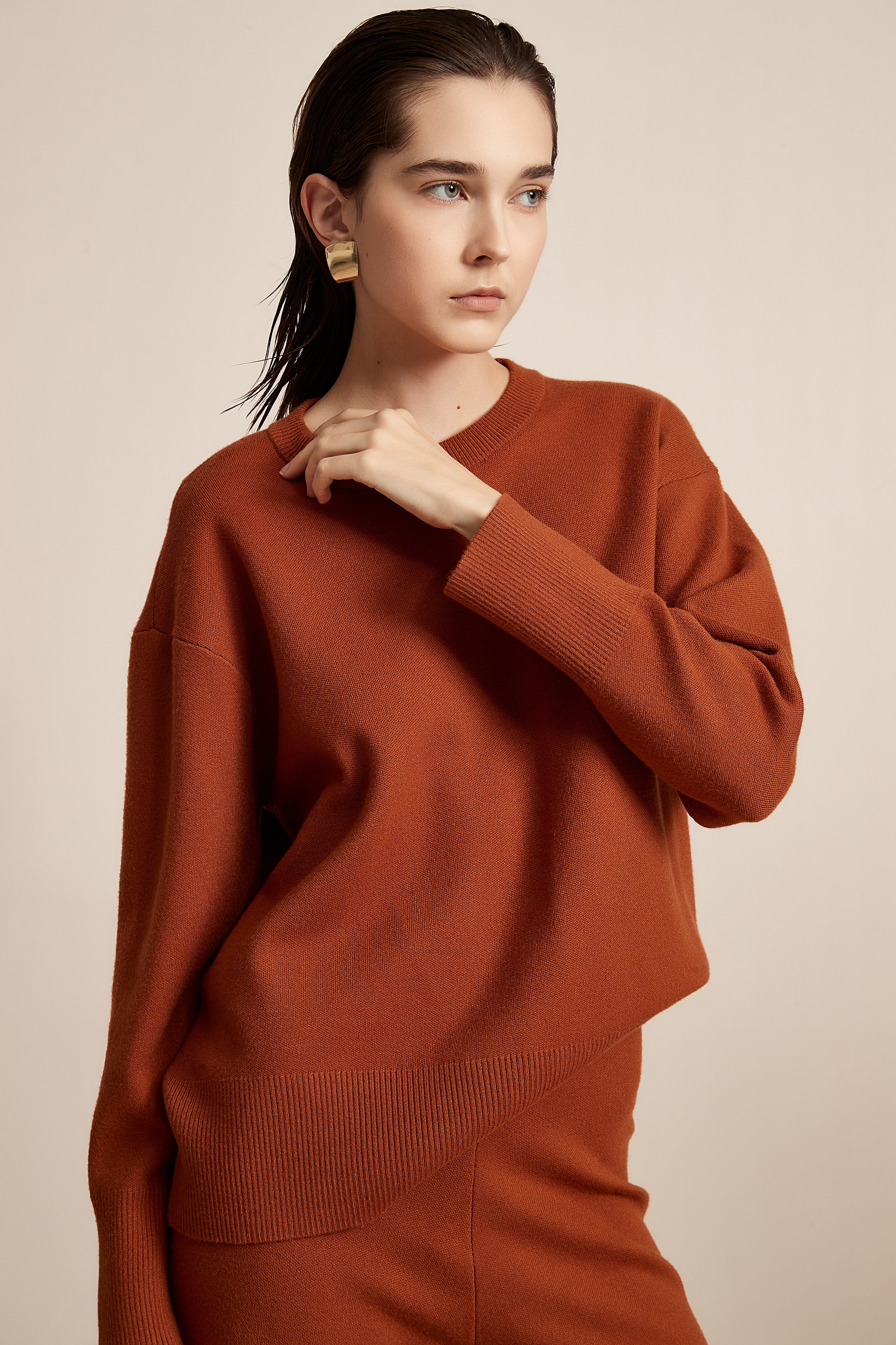 Long Sleeve Solid Winter Blouse