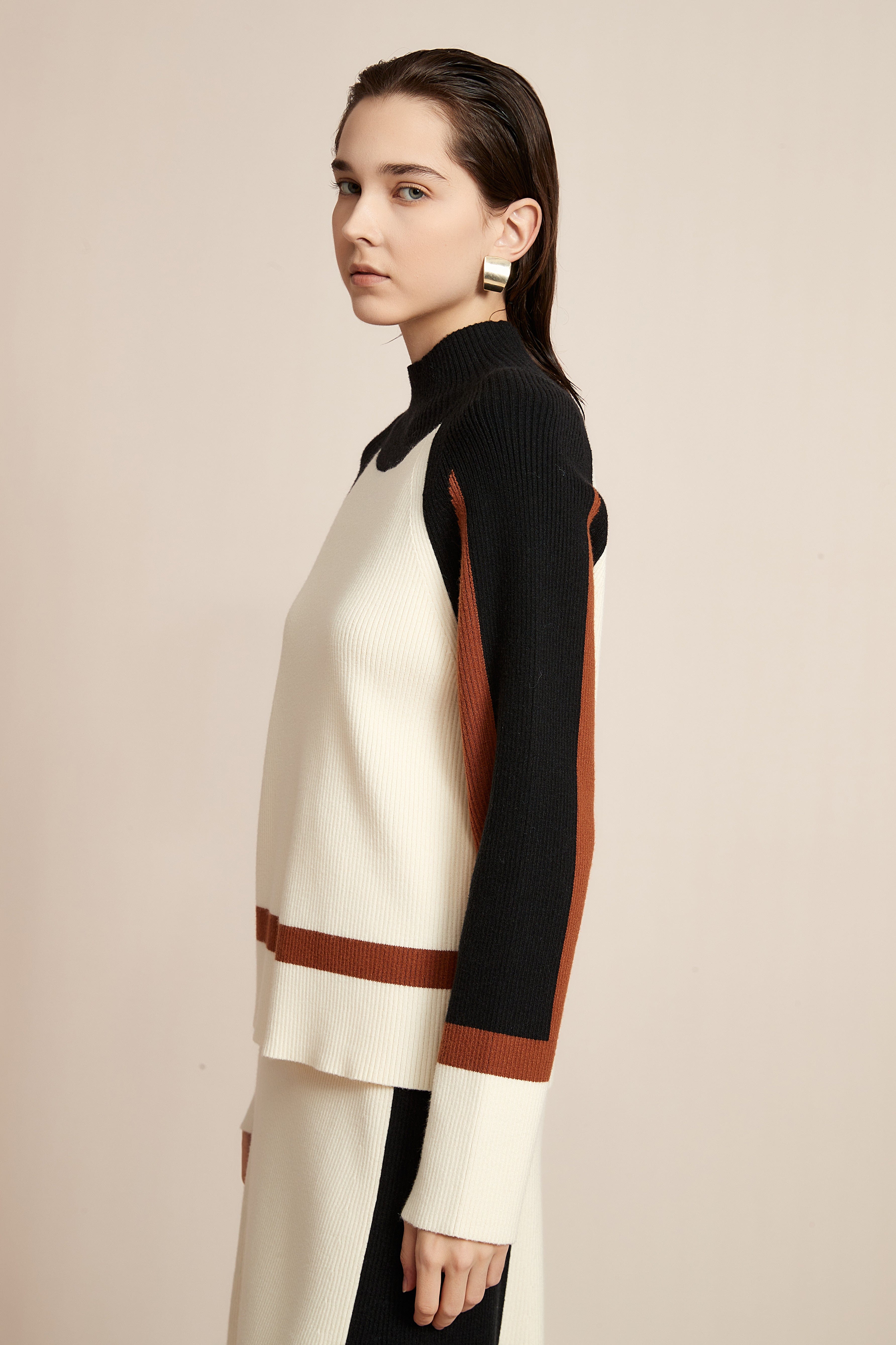 Winter Blouse With High Neck And Long Sleeves In Various Colors
