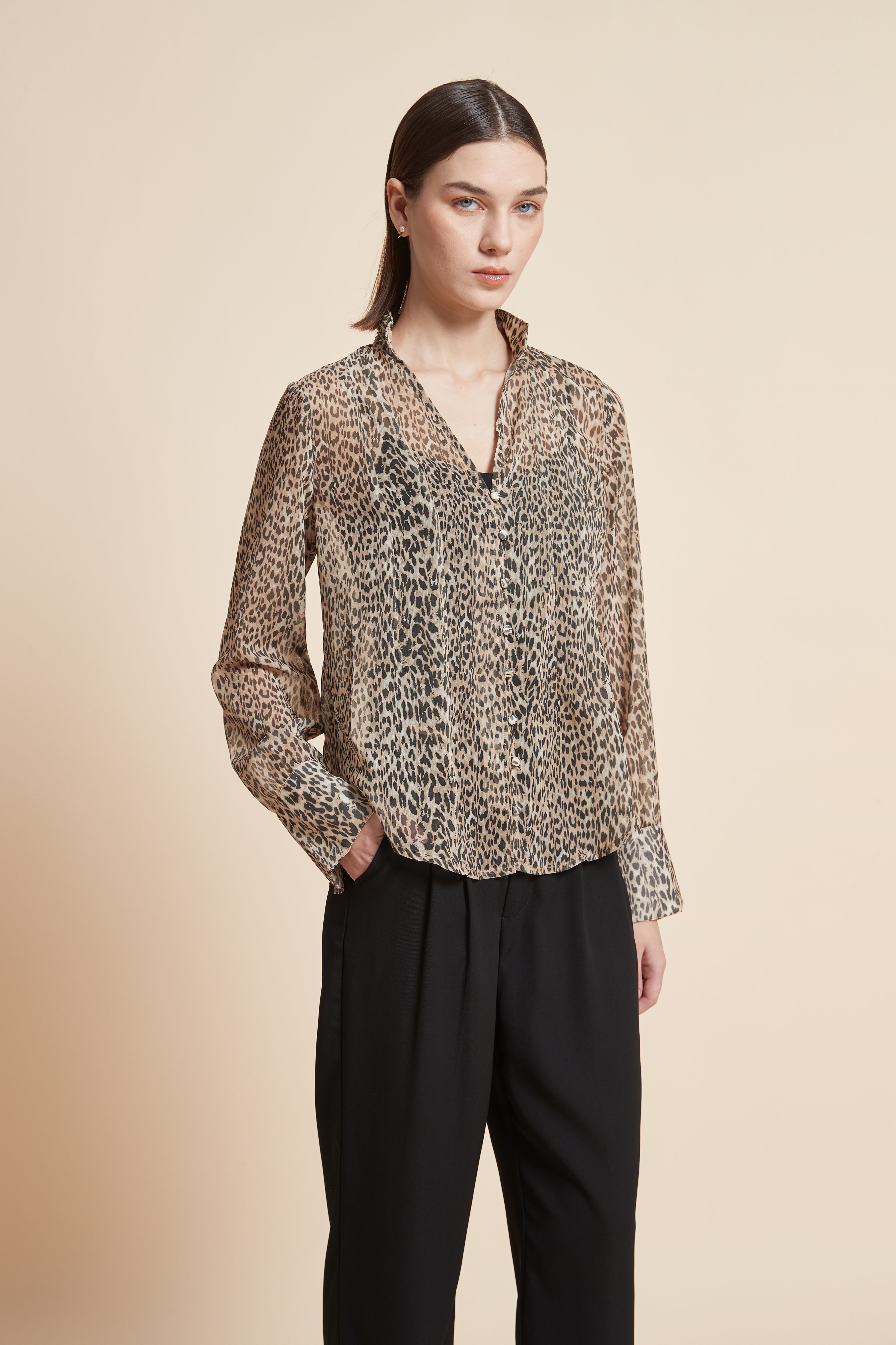 Long-Sleeved Leopard Print Blouse