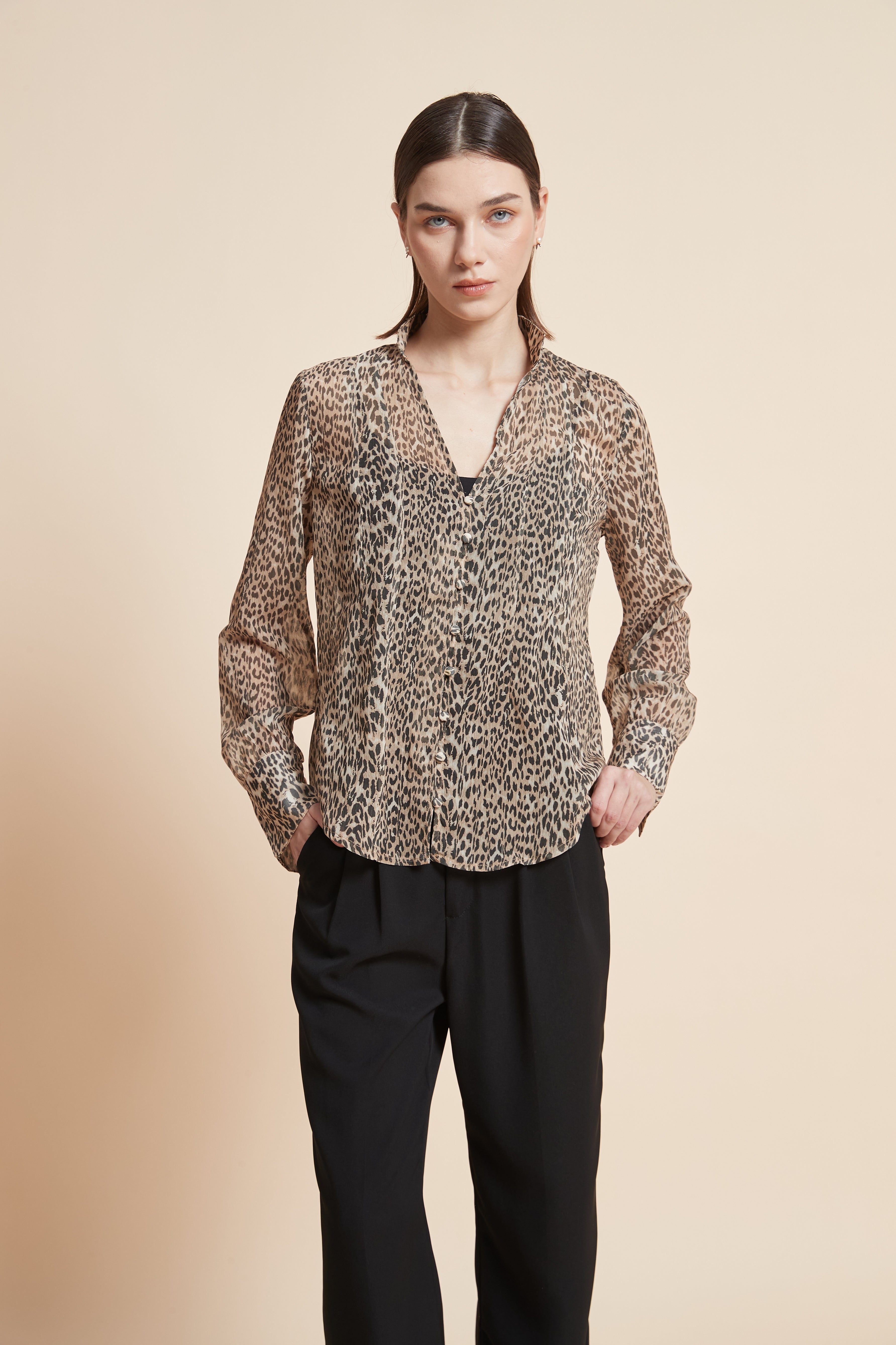 Long-Sleeved Leopard Print Blouse
