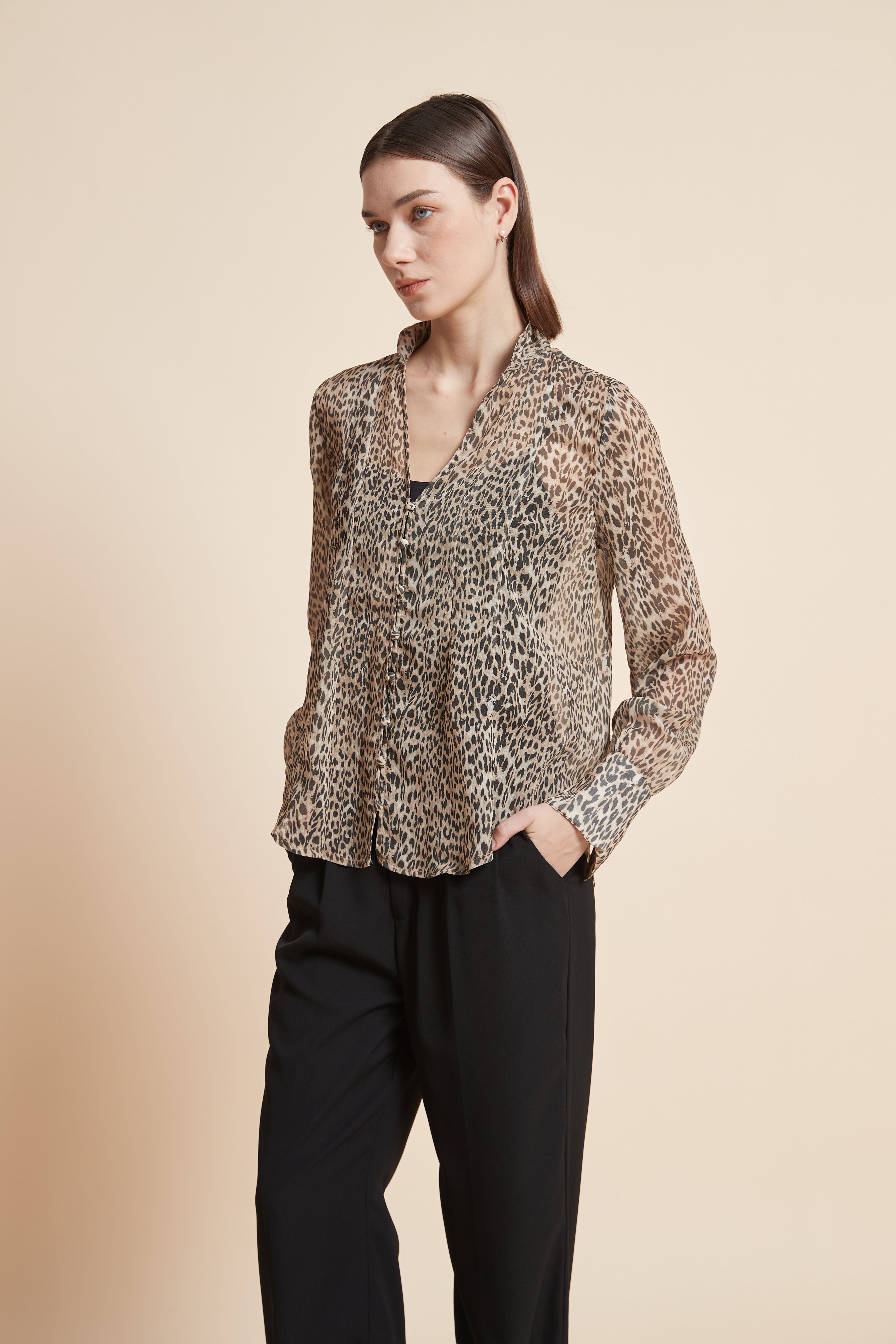 Long-Sleeved Leopard Print Blouse