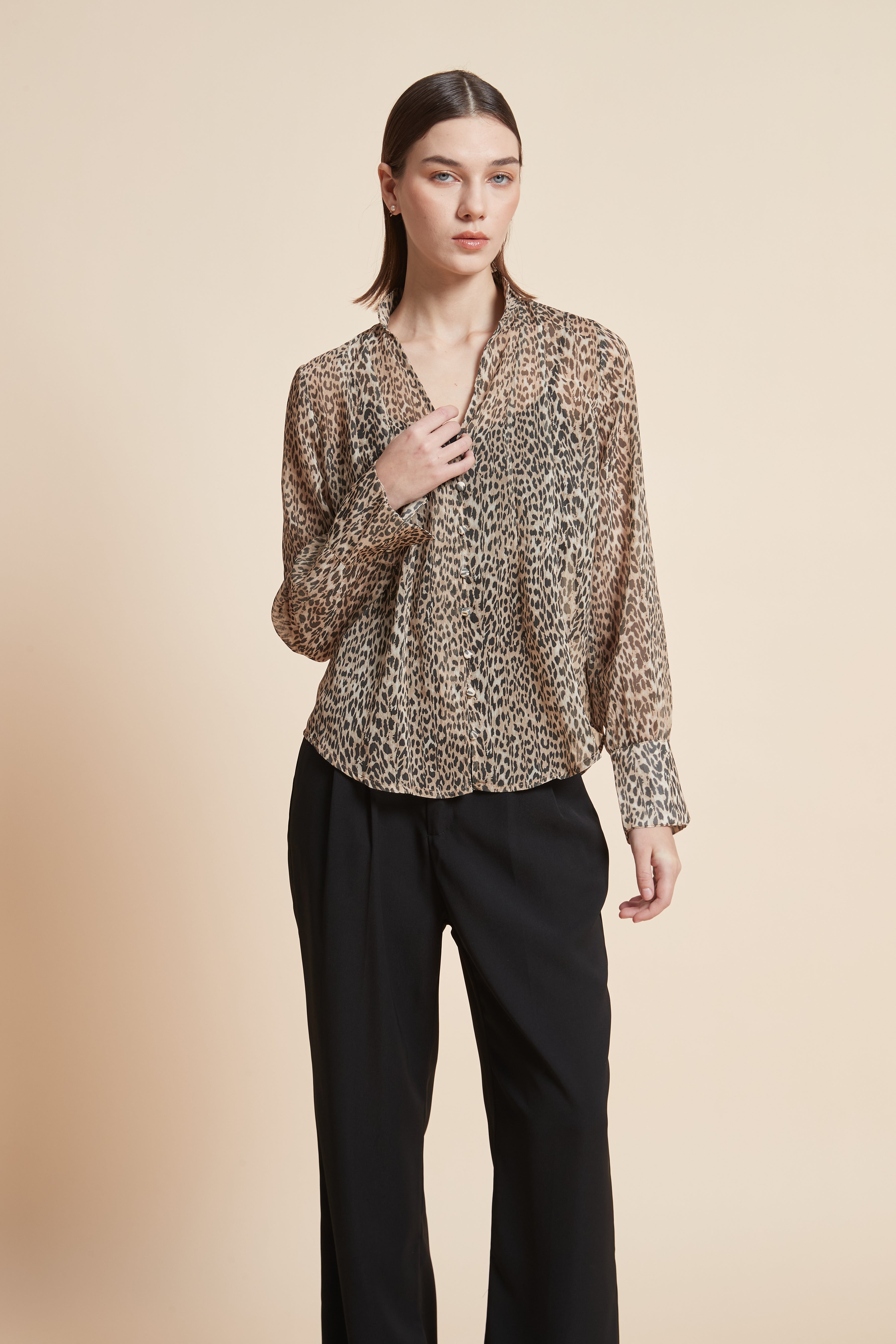 Long-Sleeved Leopard Print Blouse