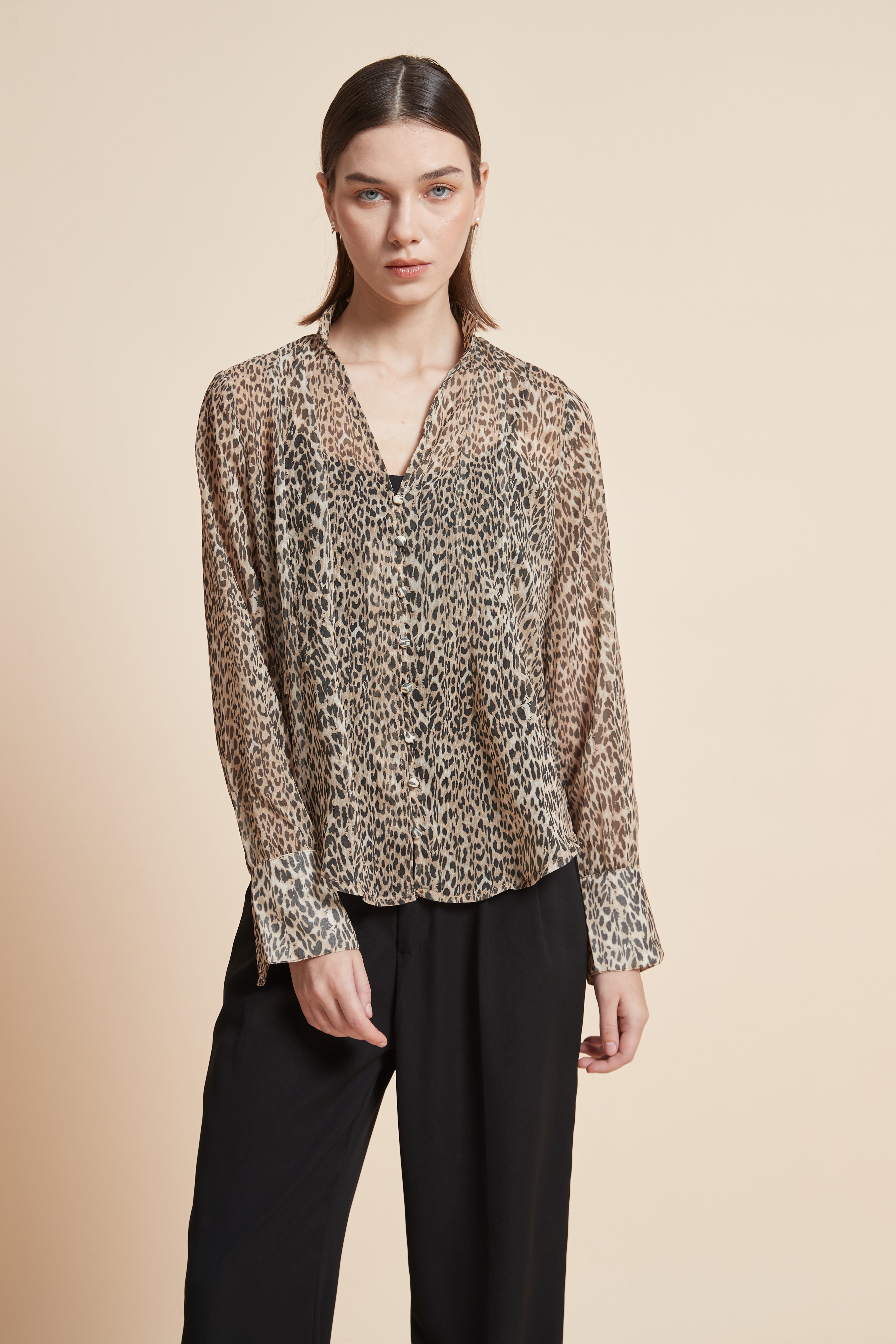 Long-Sleeved Leopard Print Blouse