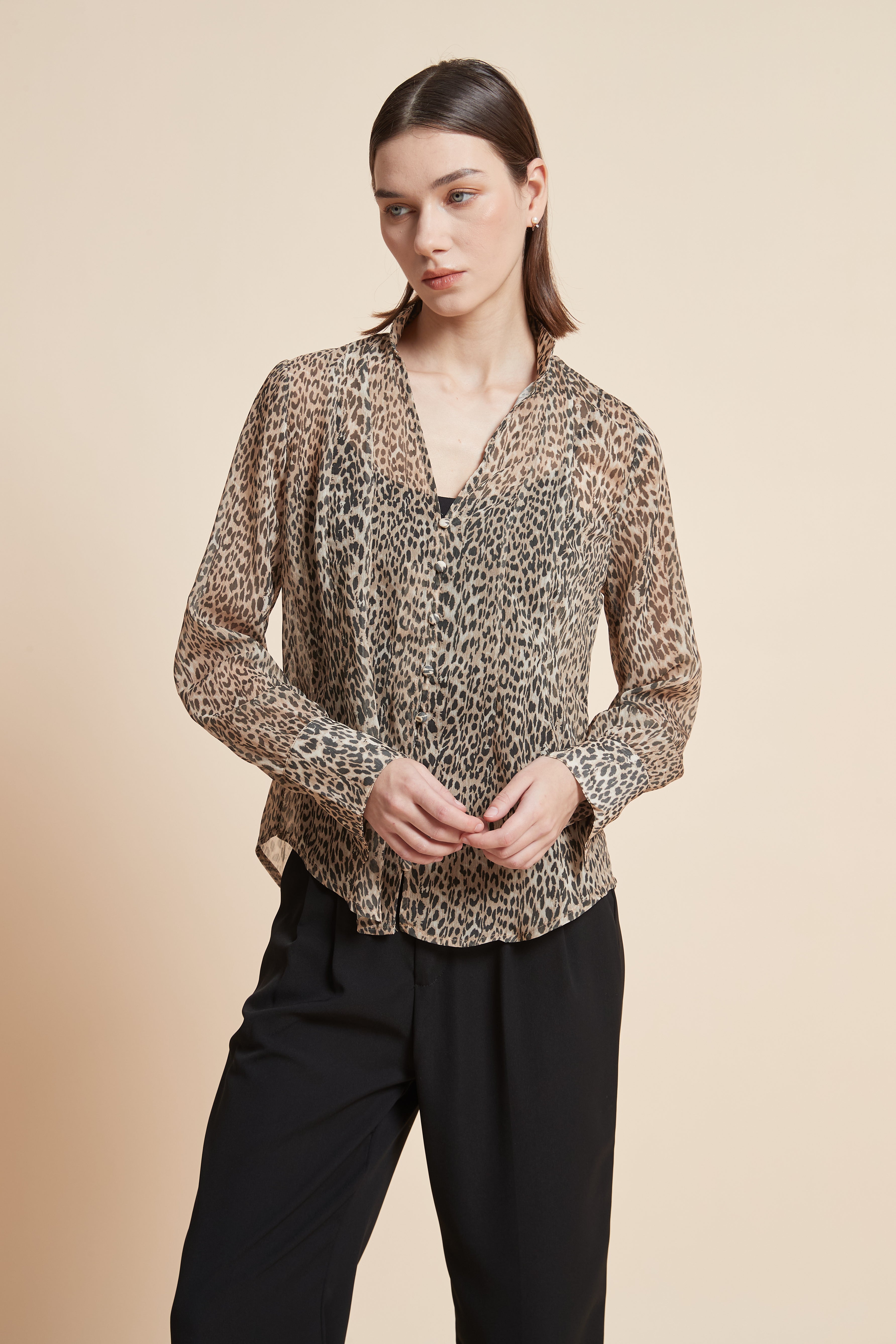 Long-Sleeved Leopard Print Blouse