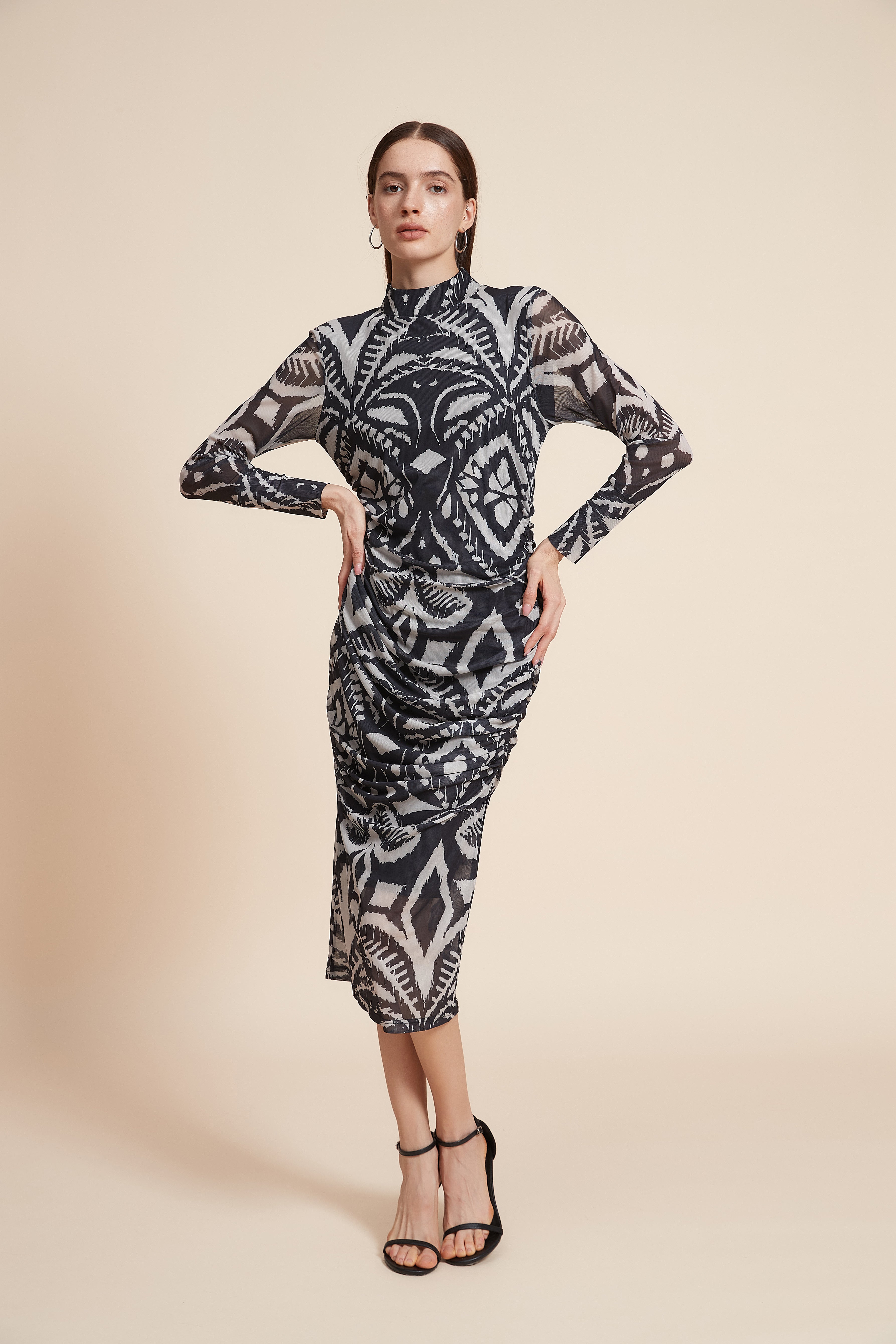 Printed Long Sleeve Midi Dress