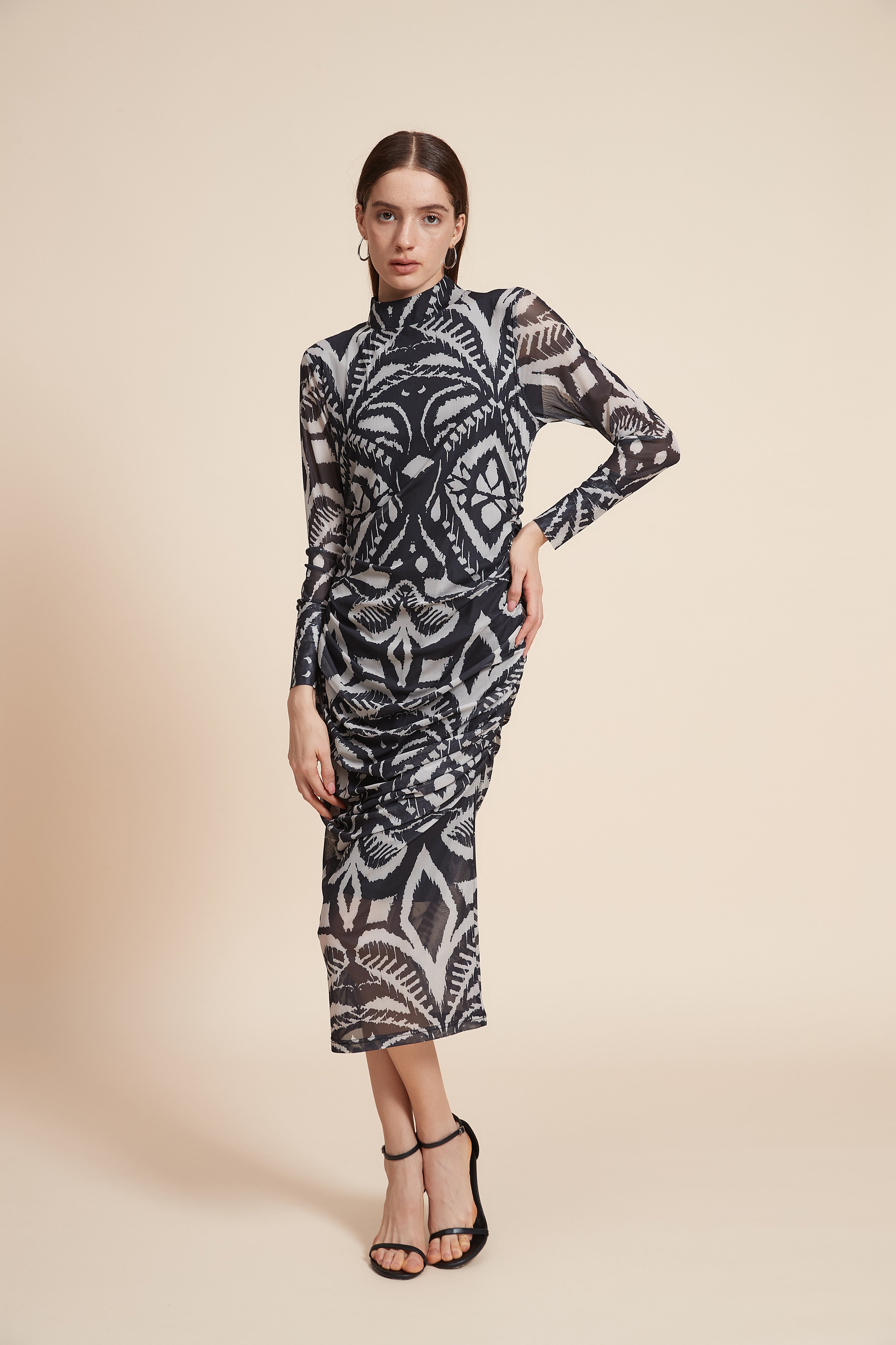 Printed Long Sleeve Midi Dress