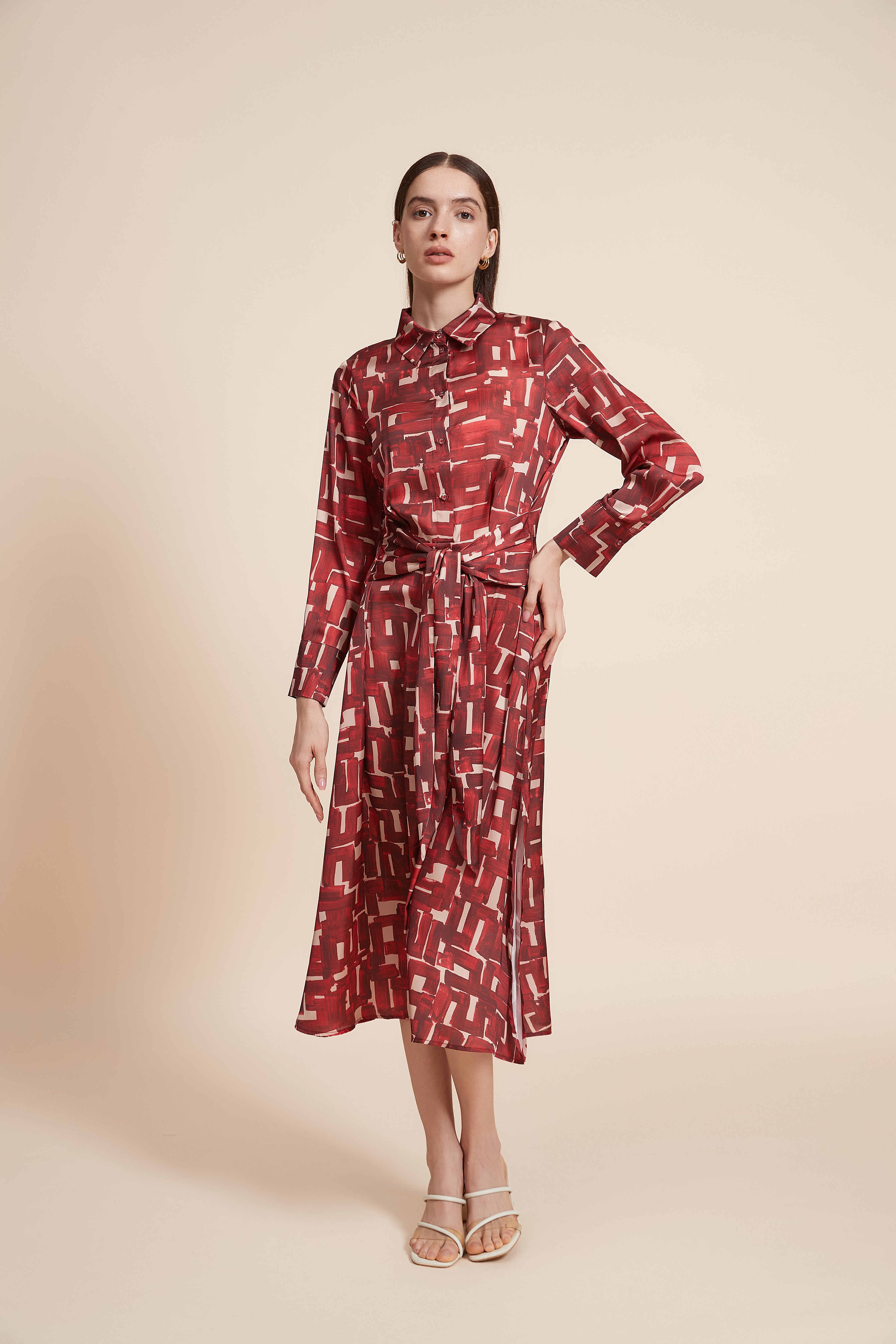 Printed Long Sleeve Maxi Dress