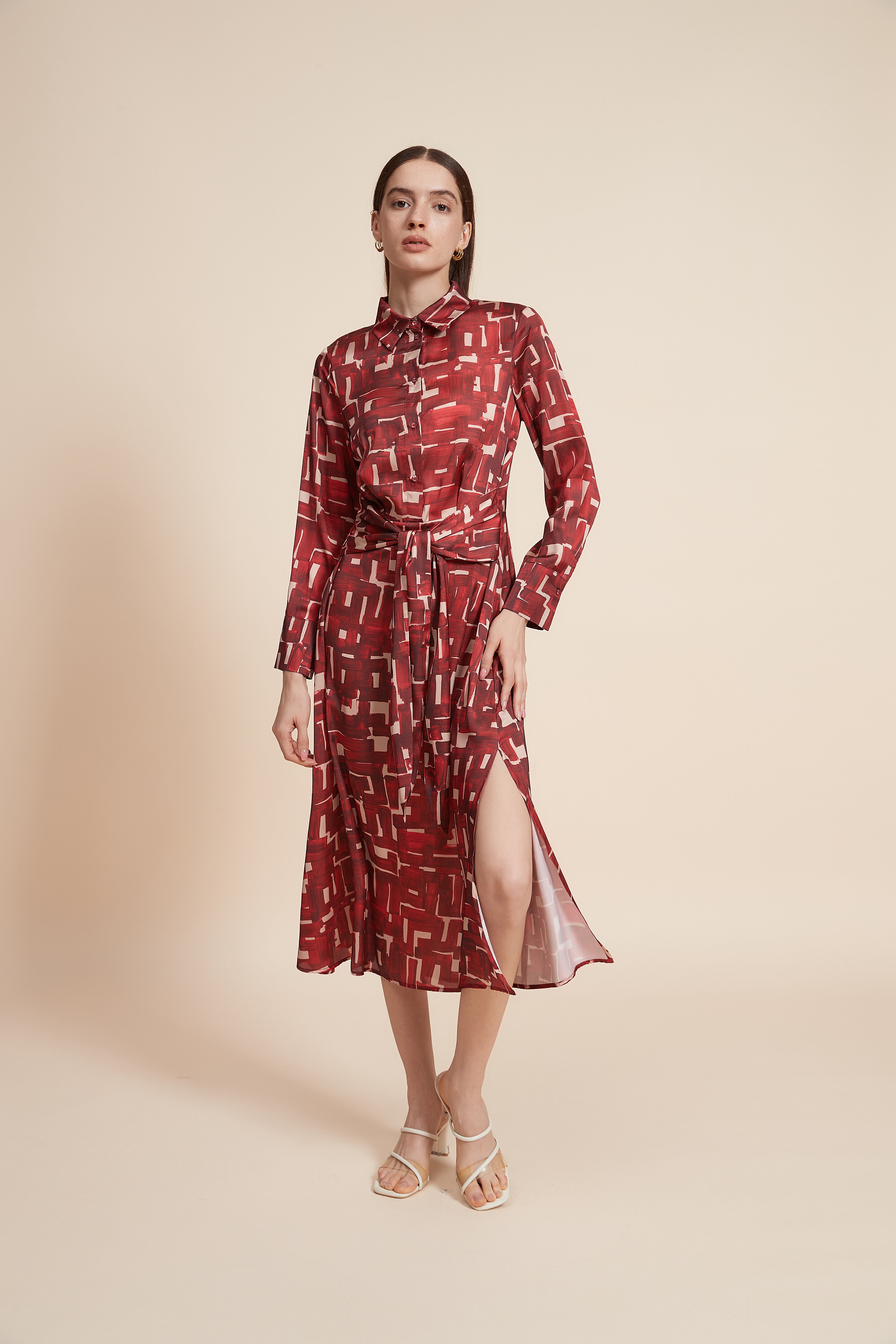 Printed Long Sleeve Maxi Dress