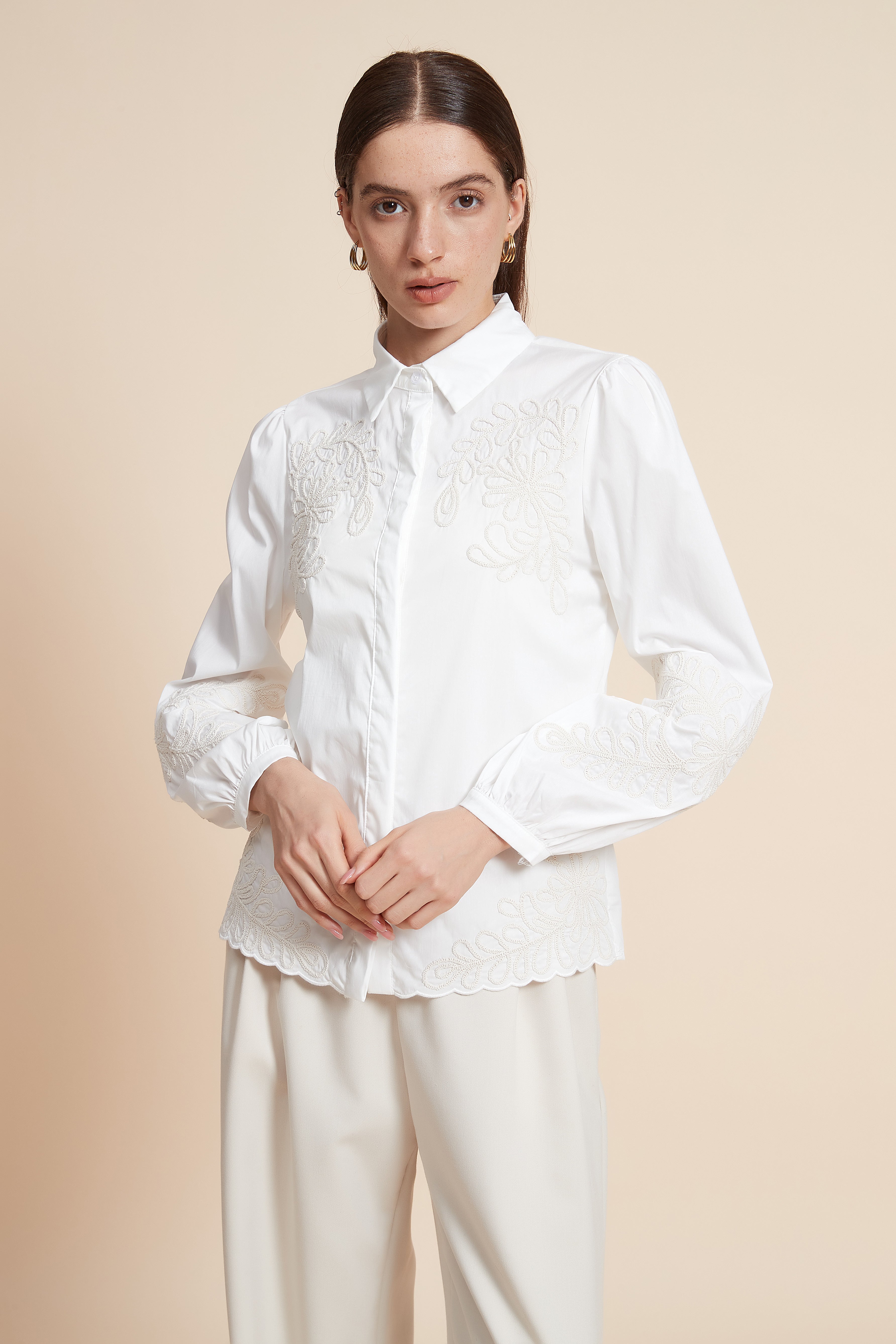 Embroidered Long Sleeve Blouse with Shirt Collar